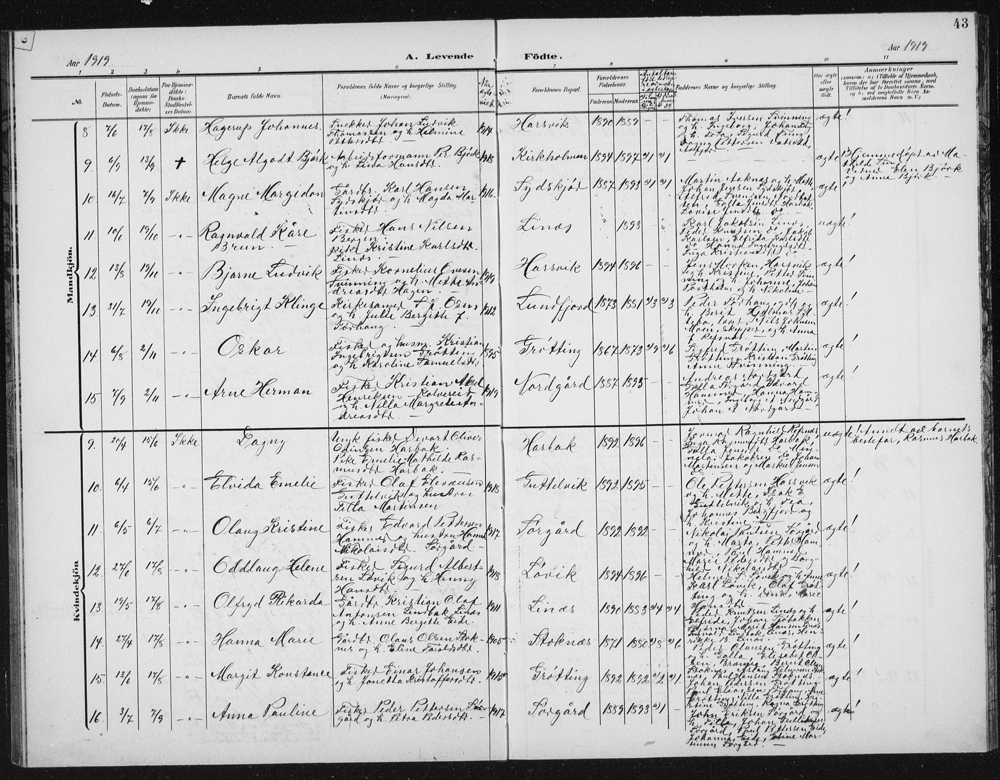 Ministerialprotokoller, klokkerbøker og fødselsregistre - Sør-Trøndelag, AV/SAT-A-1456/656/L0699: Parish register (copy) no. 656C05, 1905-1920, p. 43