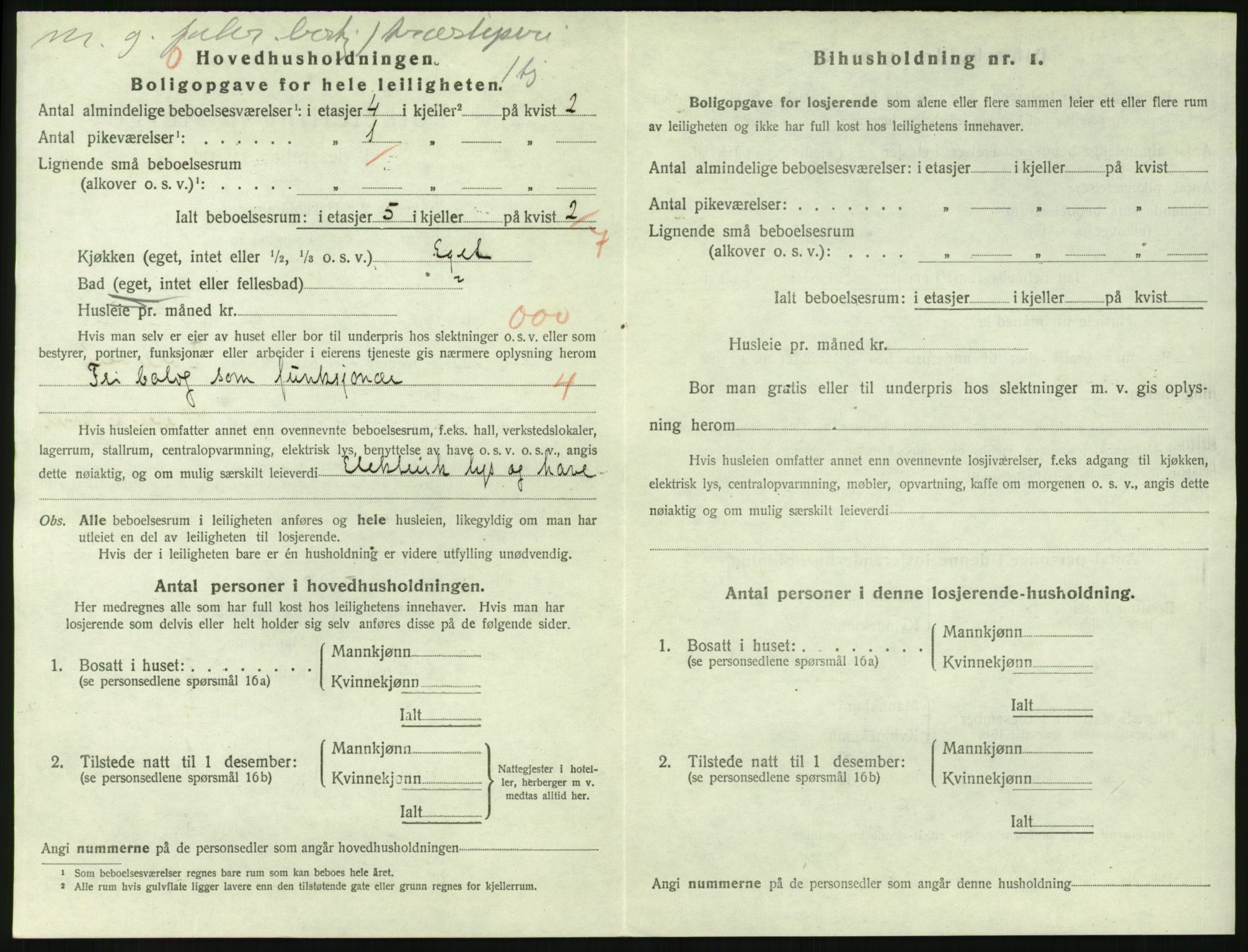 SAKO, 1920 census for Larvik, 1920, p. 4161