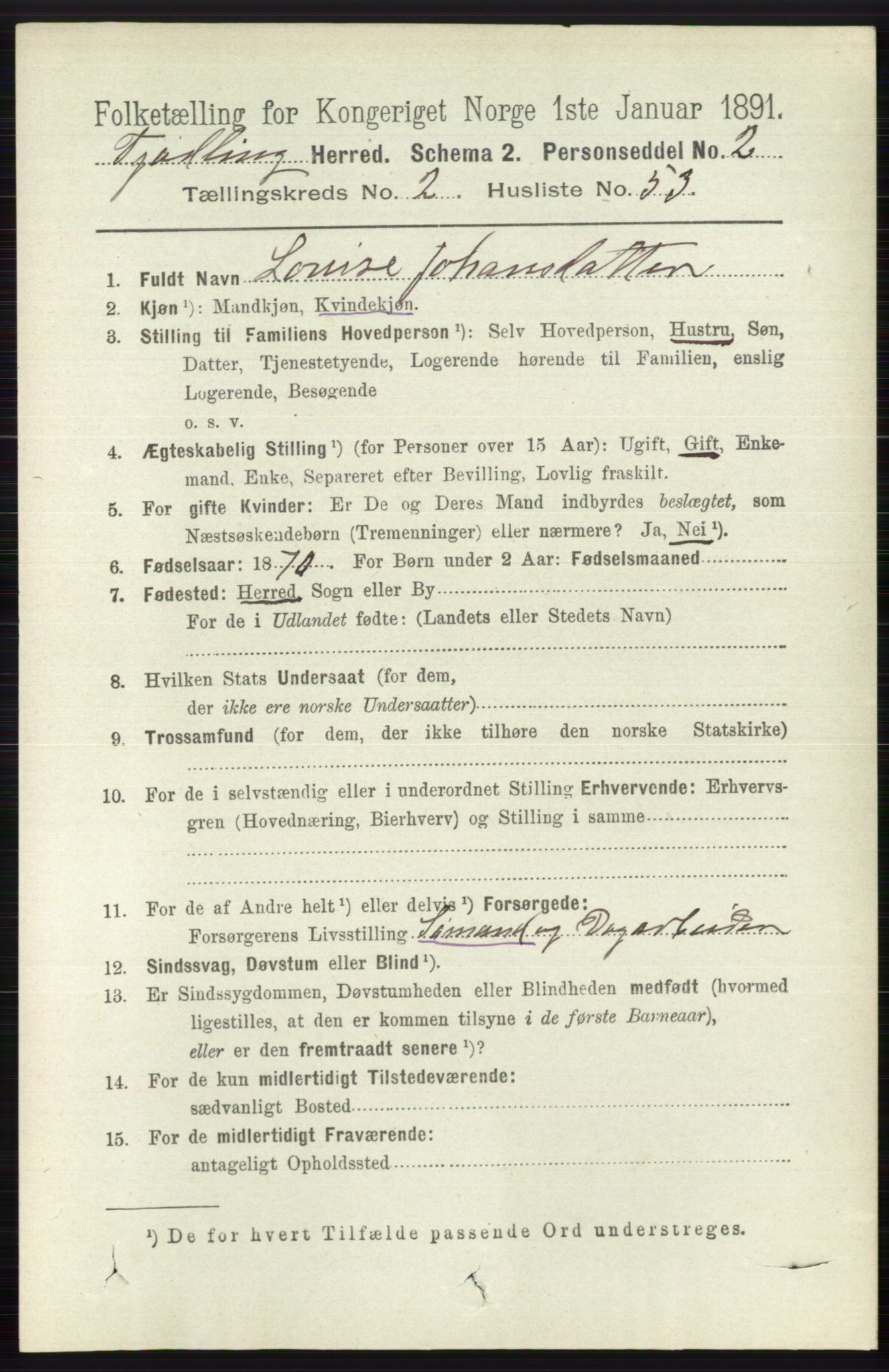 RA, 1891 census for 0725 Tjølling, 1891, p. 816