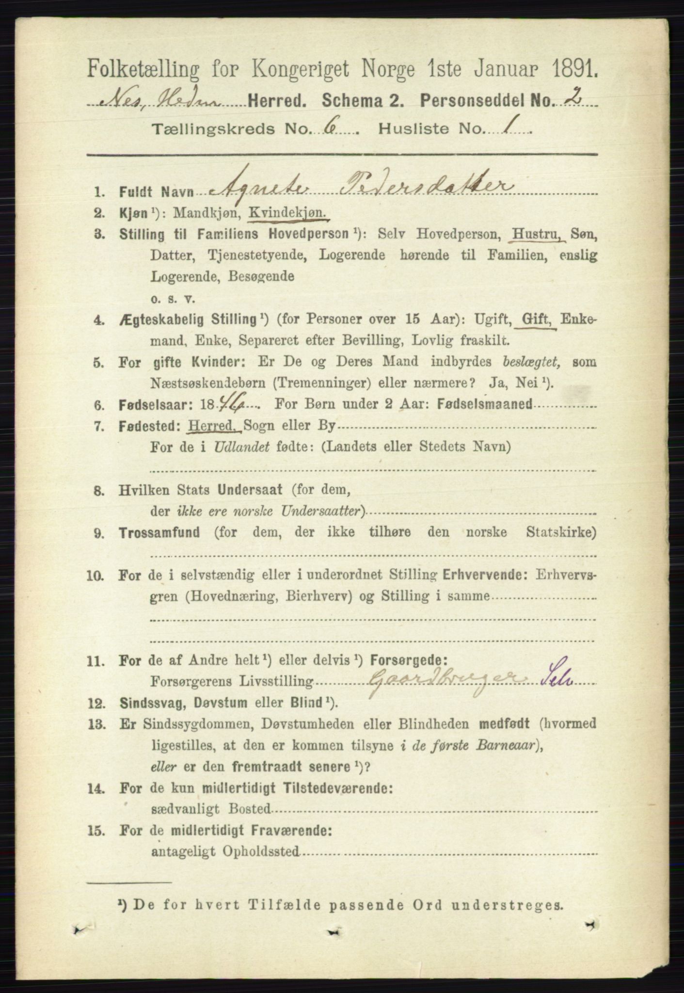 RA, 1891 census for 0411 Nes, 1891, p. 3268