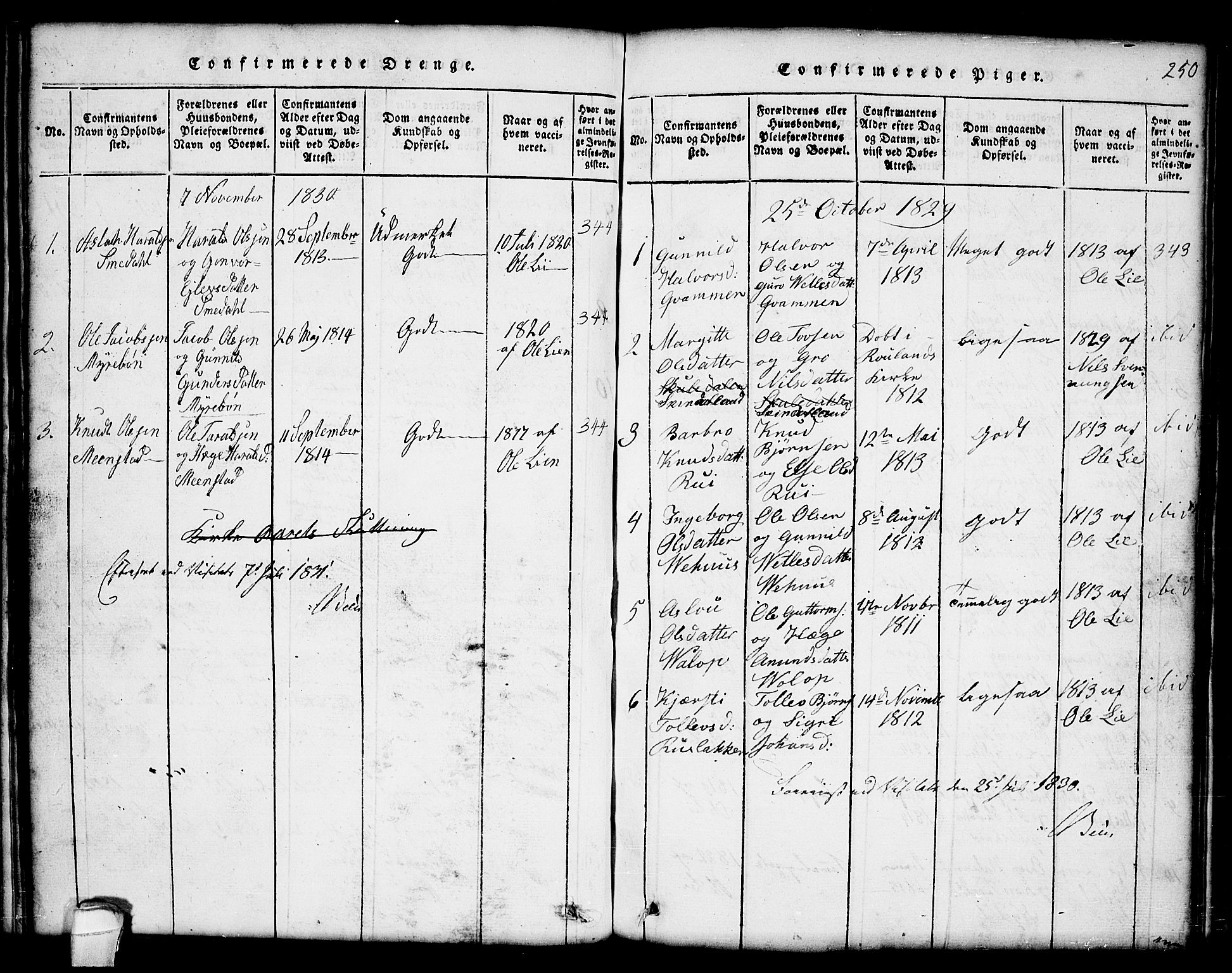 Seljord kirkebøker, AV/SAKO-A-20/G/Gc/L0001: Parish register (copy) no. III 1, 1815-1849, p. 250