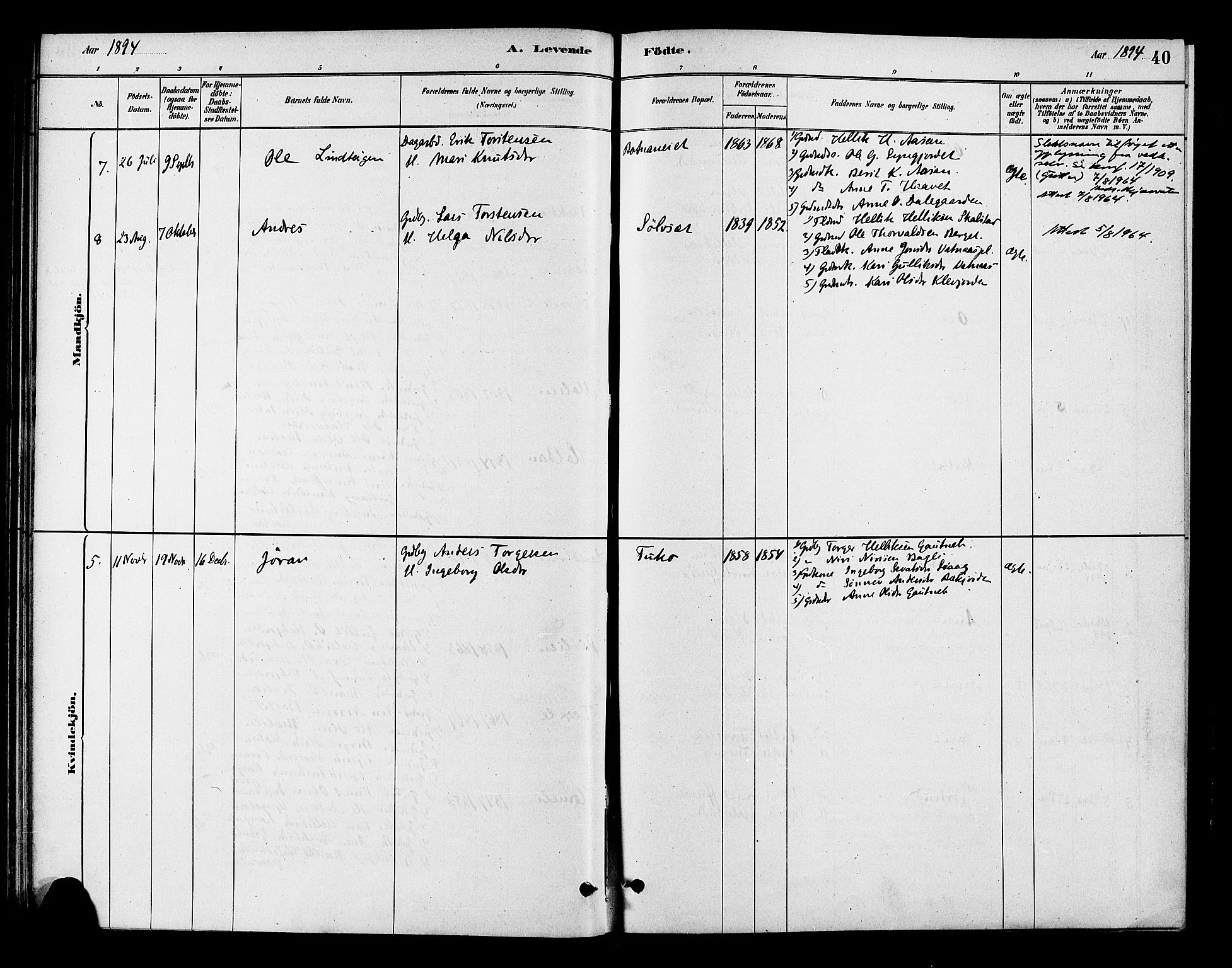 Flesberg kirkebøker, AV/SAKO-A-18/F/Fc/L0001: Parish register (official) no. III 1, 1879-1905, p. 40