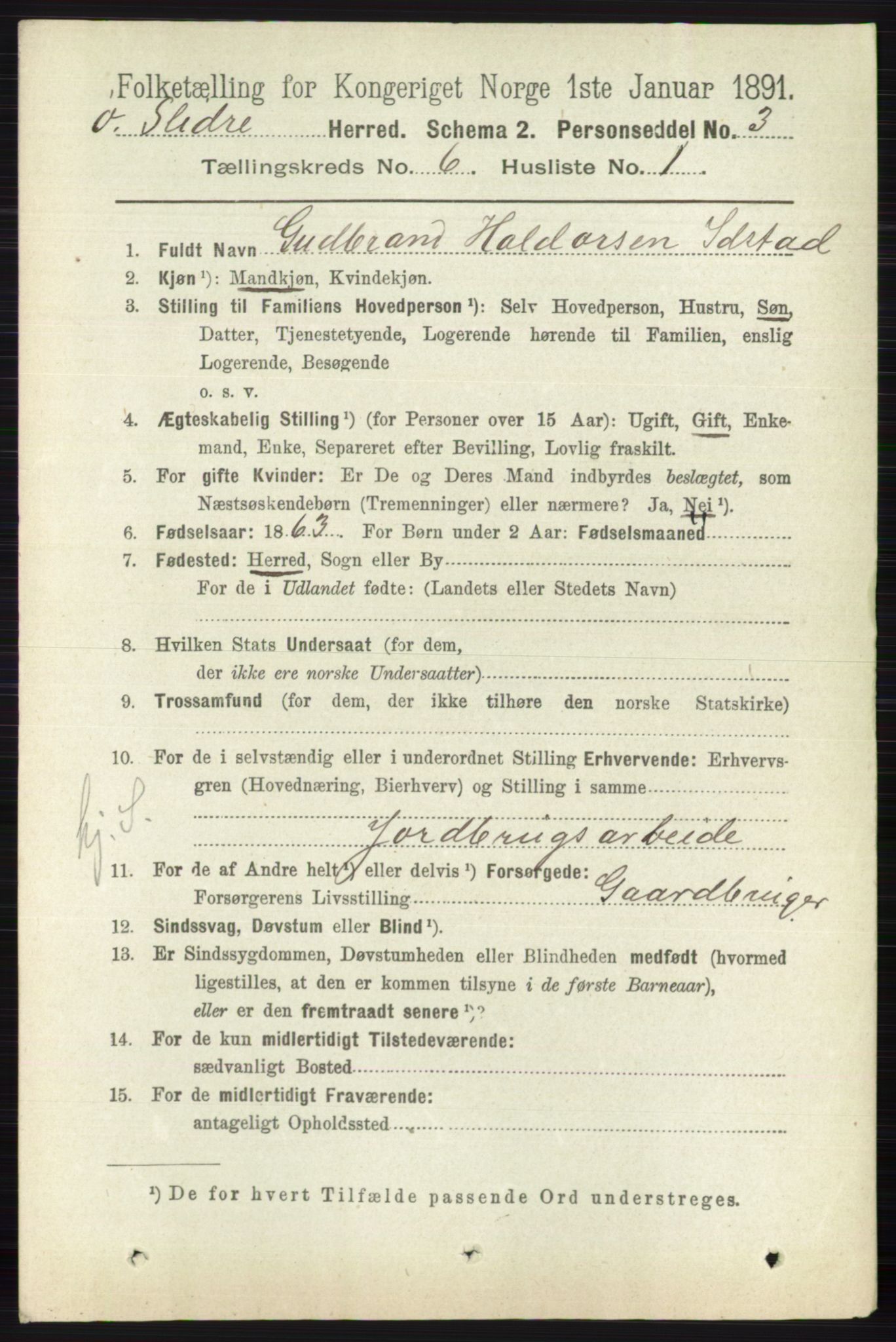 RA, 1891 census for 0544 Øystre Slidre, 1891, p. 1806