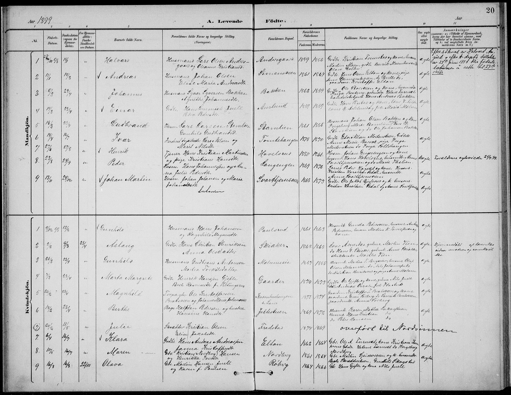 Nordre Land prestekontor, SAH/PREST-124/H/Ha/Hab/L0014: Parish register (copy) no. 14, 1891-1907, p. 20