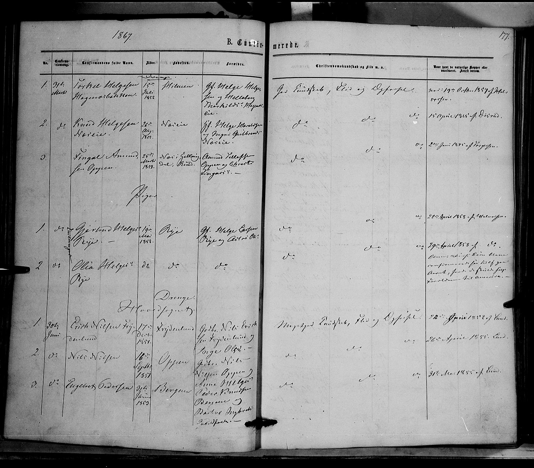 Nord-Aurdal prestekontor, SAH/PREST-132/H/Ha/Haa/L0008: Parish register (official) no. 8, 1863-1875, p. 177