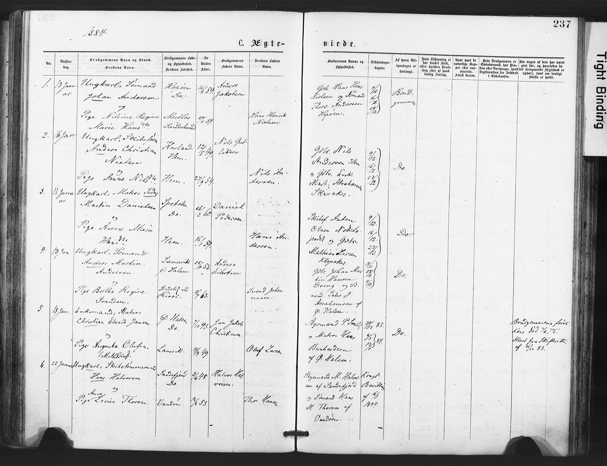 Tjølling kirkebøker, SAKO/A-60/F/Fa/L0008: Parish register (official) no. 8, 1877-1886, p. 237