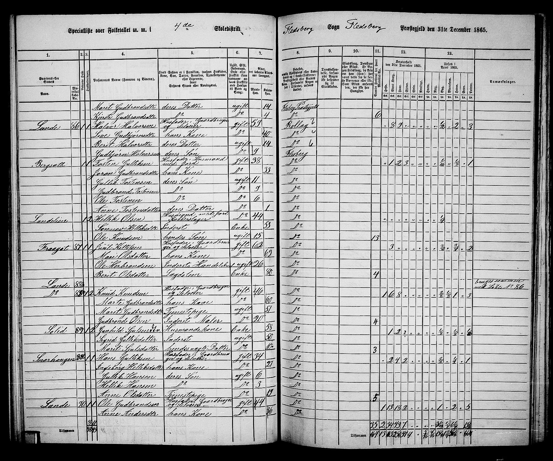 RA, 1865 census for Flesberg, 1865, p. 83