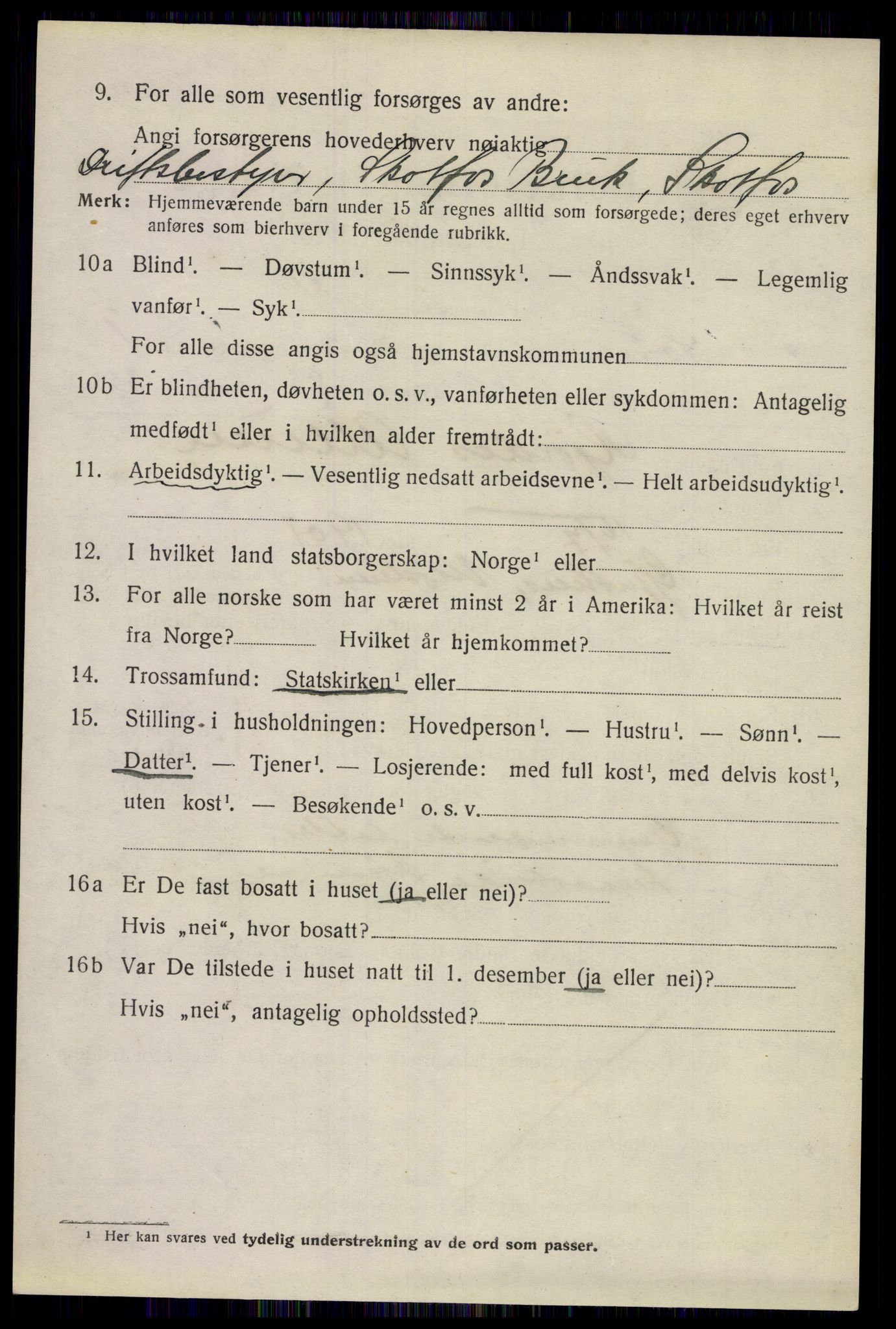 SAKO, 1920 census for Solum, 1920, p. 6315