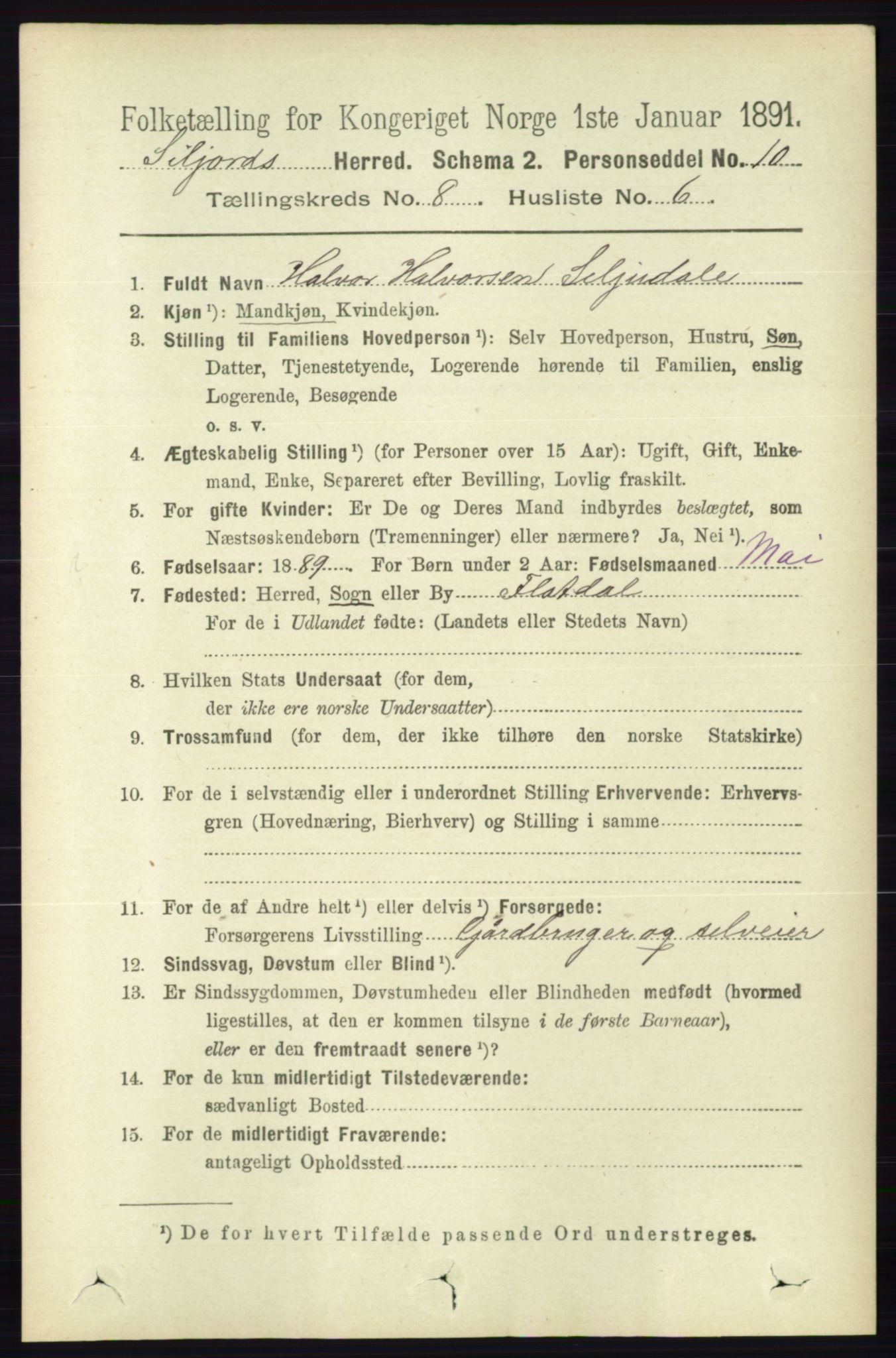 RA, 1891 census for 0828 Seljord, 1891, p. 2905