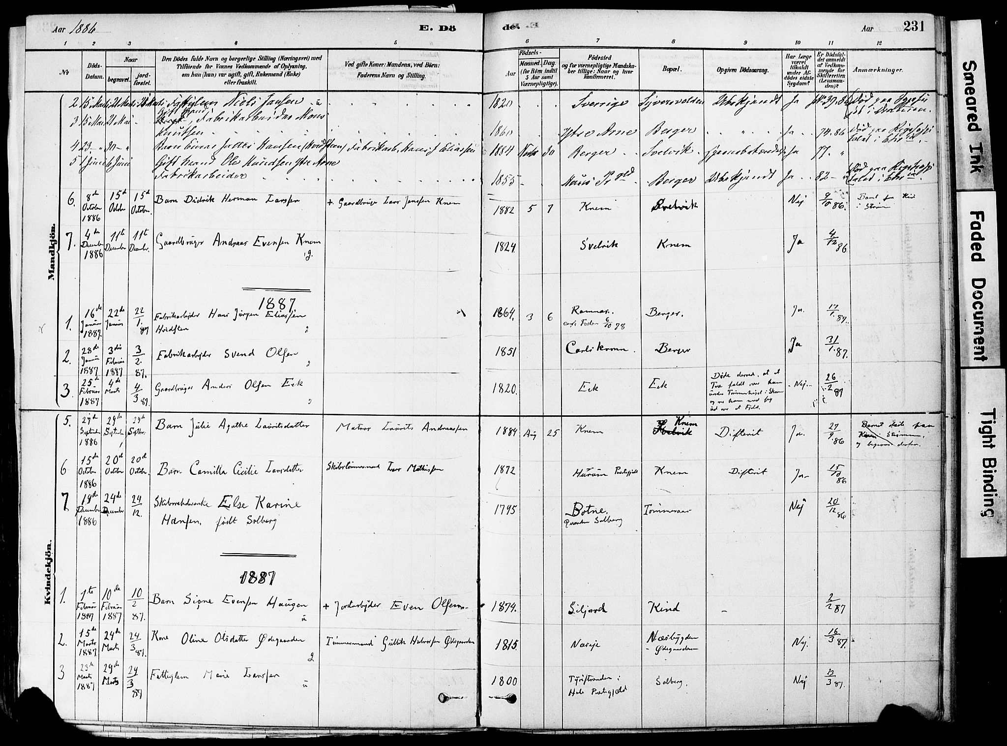 Strømm kirkebøker, AV/SAKO-A-322/F/Fa/L0004: Parish register (official) no. I 4, 1878-1899, p. 231