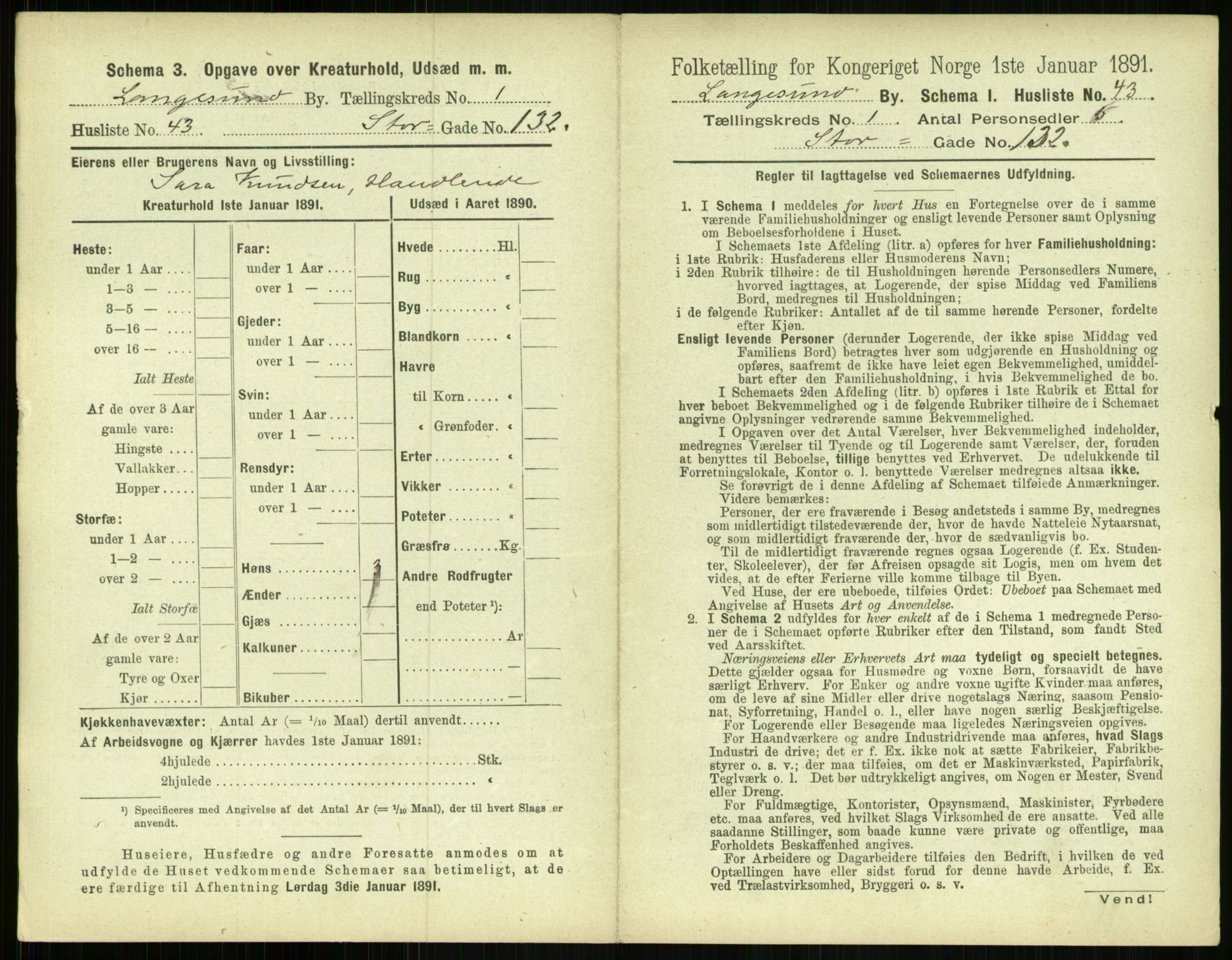 RA, 1891 census for 0802 Langesund, 1891, p. 106