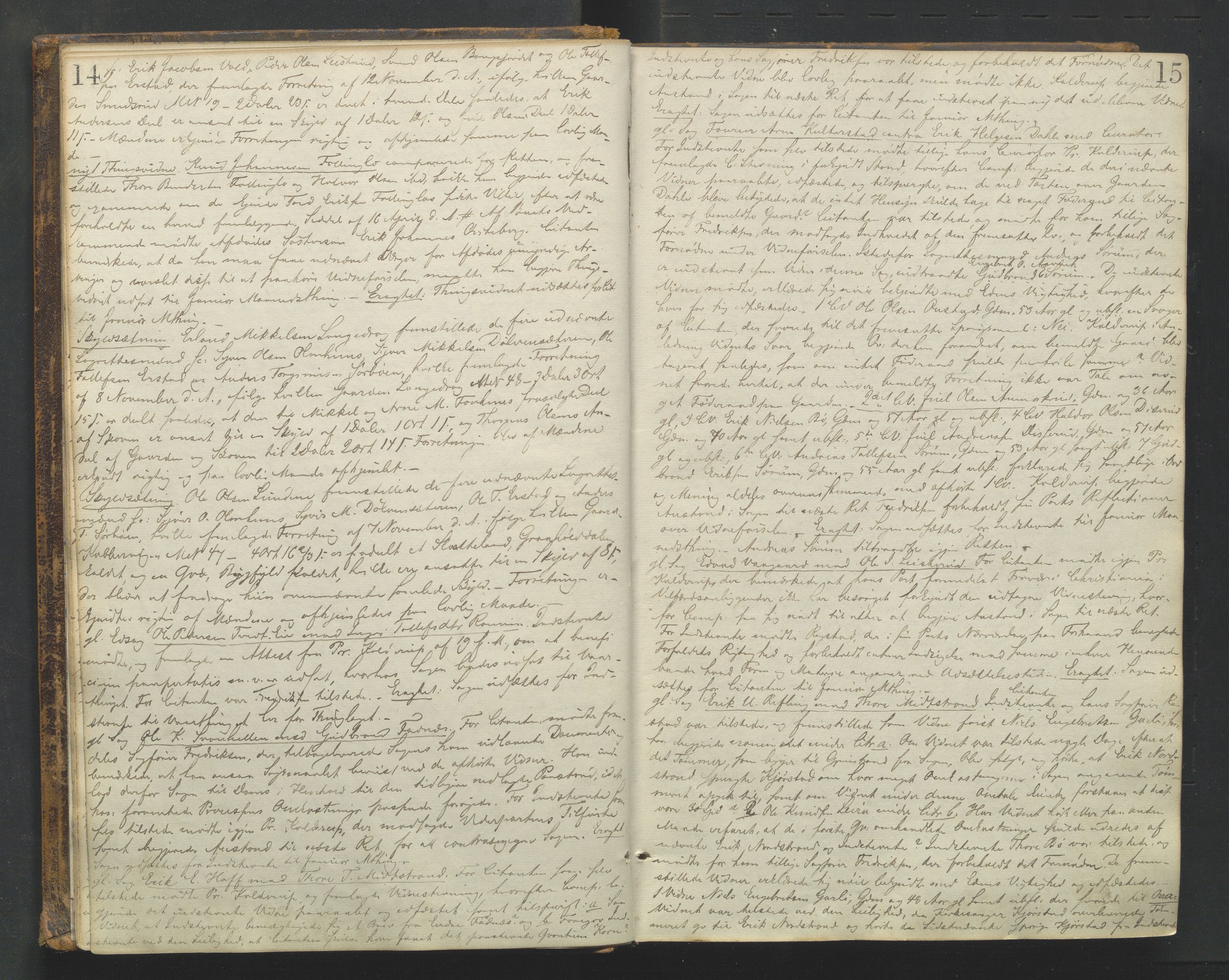 Valdres sorenskriveri, SAH/TING-016/G/Gb/L0011: Tingbok, 1856-1861, p. 14-15
