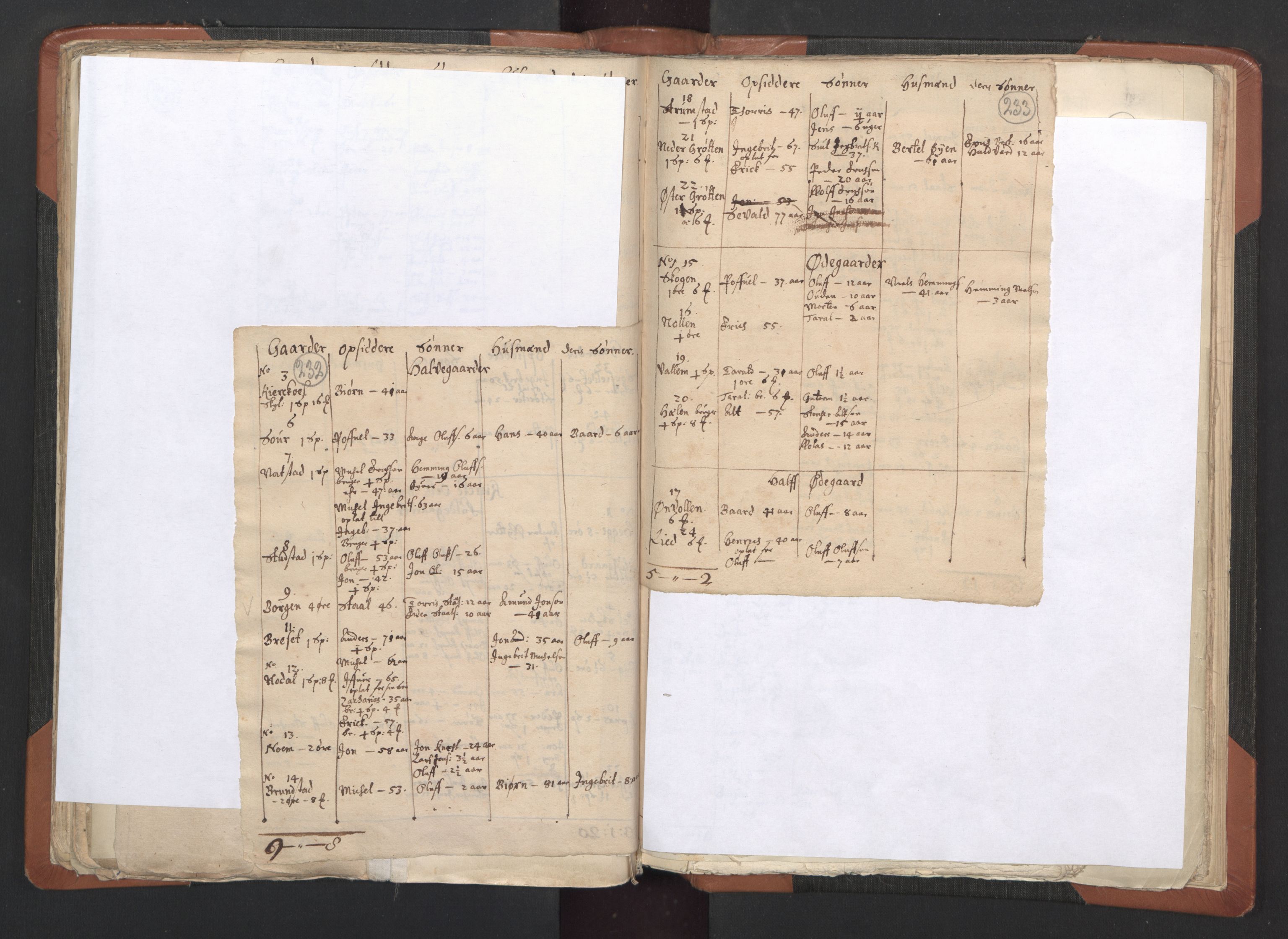 RA, Vicar's Census 1664-1666, no. 33: Innherad deanery, 1664-1666, p. 232-233