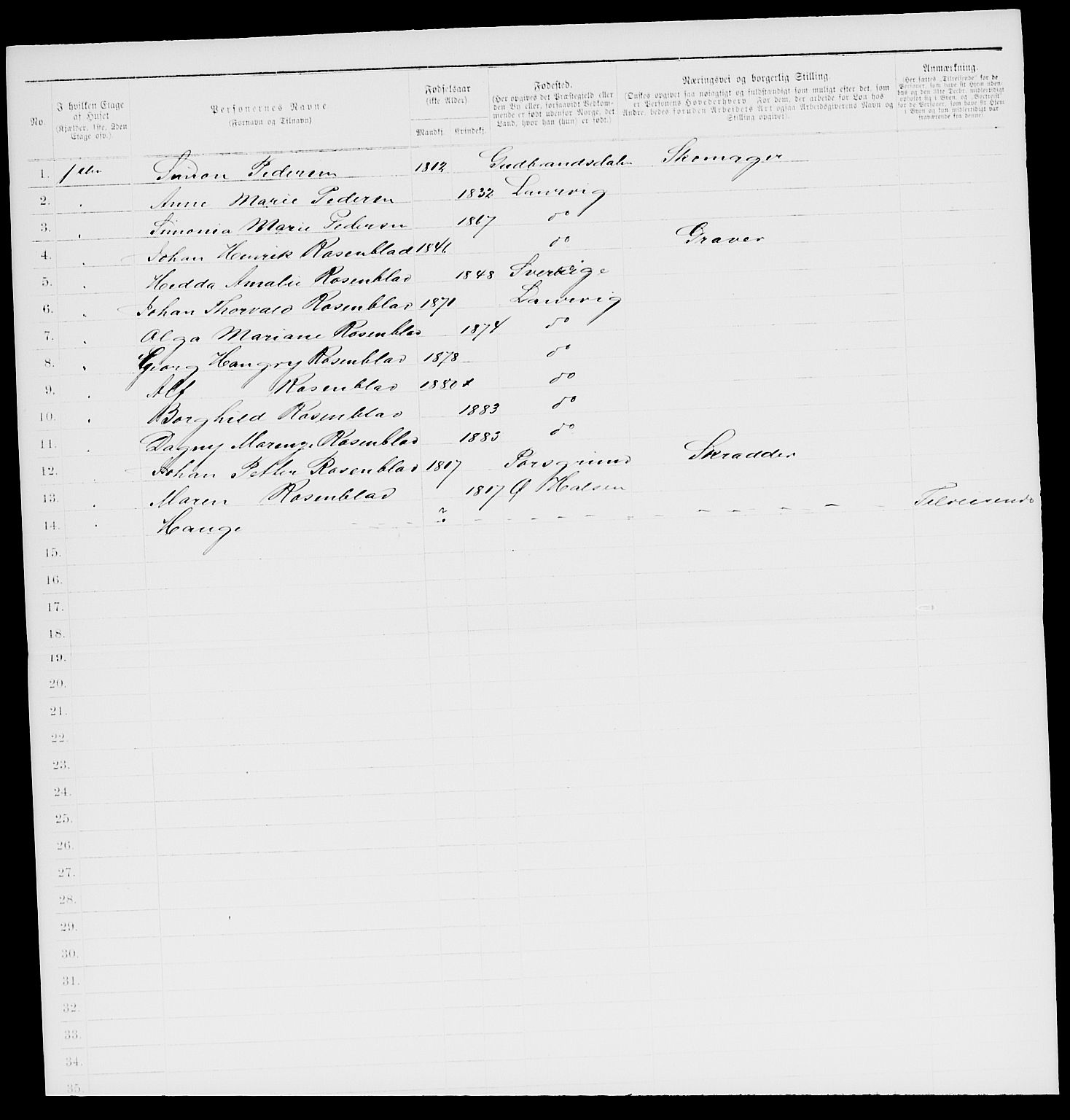 SAKO, 1885 census for 0707 Larvik, 1885, p. 1511