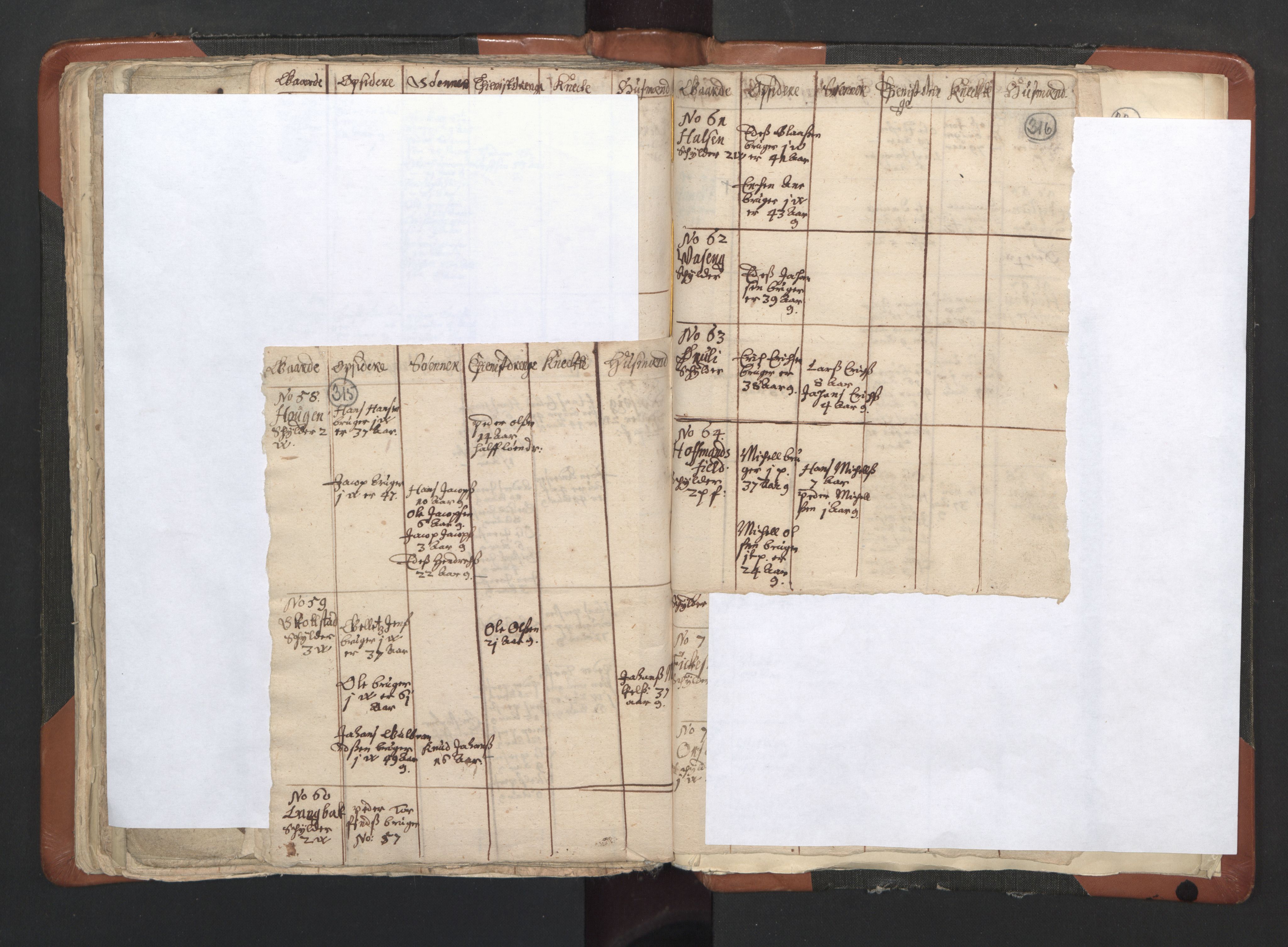 RA, Vicar's Census 1664-1666, no. 35: Helgeland deanery and Salten deanery, 1664-1666, p. 315-316