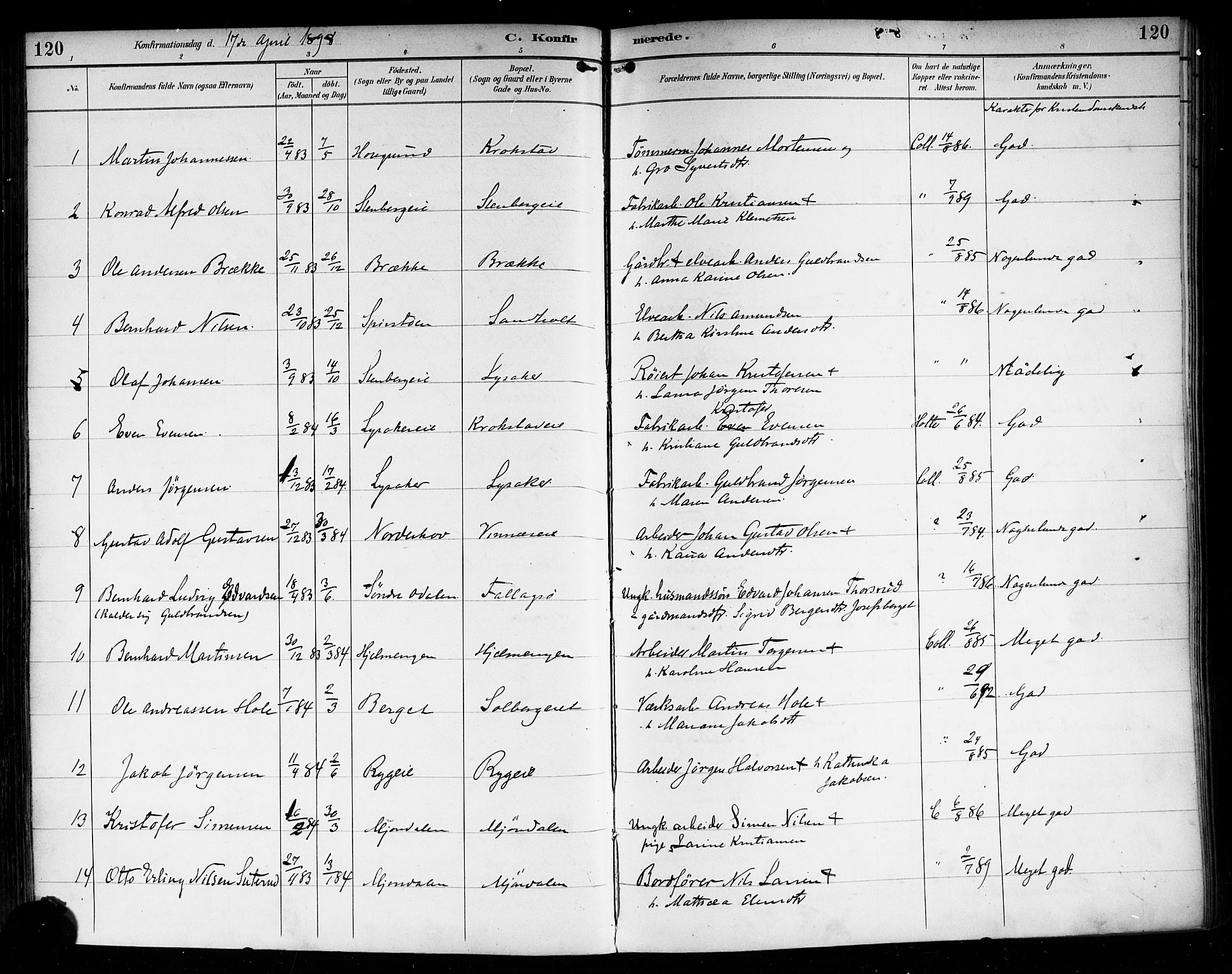 Nedre Eiker kirkebøker, AV/SAKO-A-612/F/Fa/L0004: Parish register (official) no. 4, 1893-1898, p. 120
