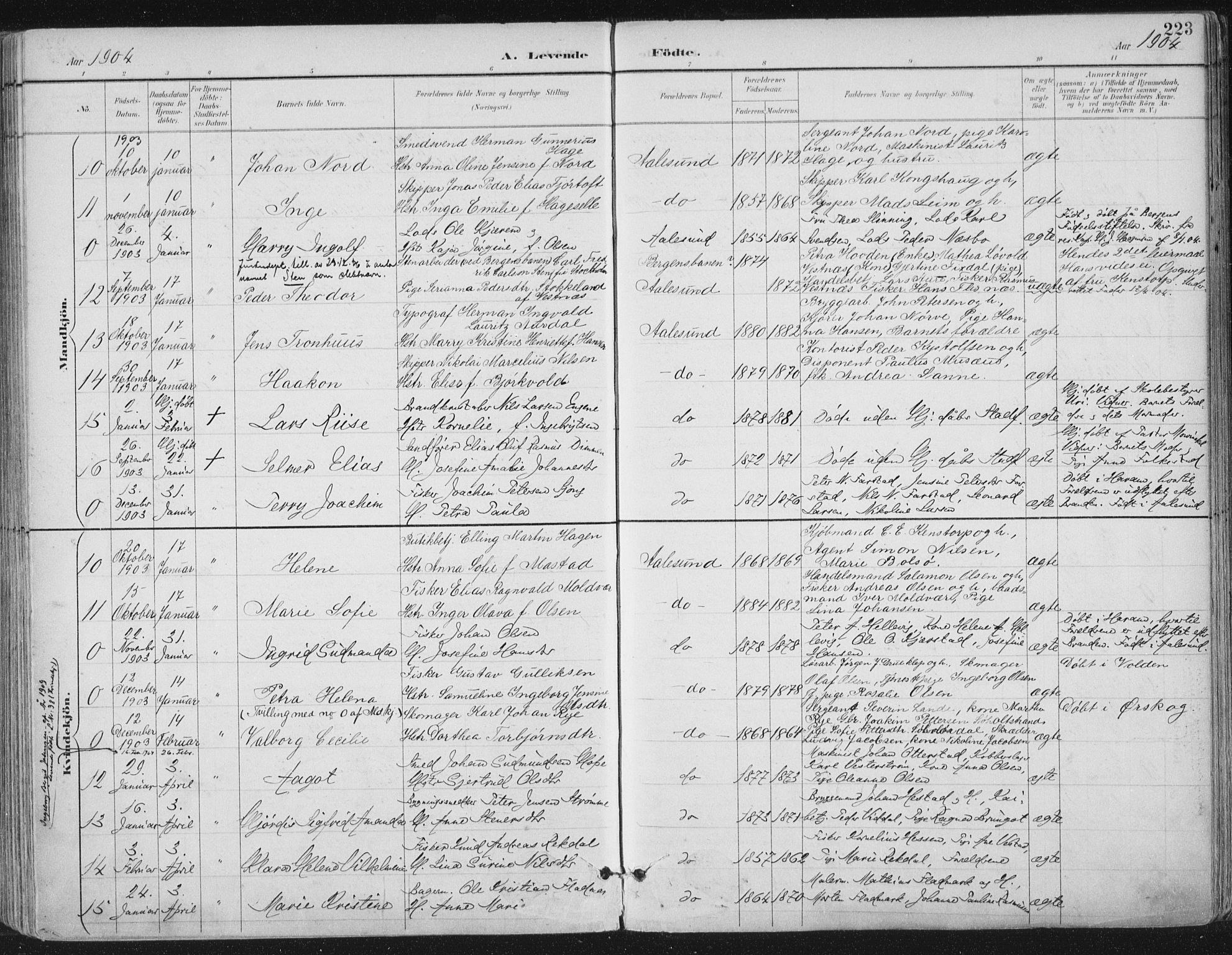 Ministerialprotokoller, klokkerbøker og fødselsregistre - Møre og Romsdal, SAT/A-1454/529/L0456: Parish register (official) no. 529A06, 1894-1906, p. 223
