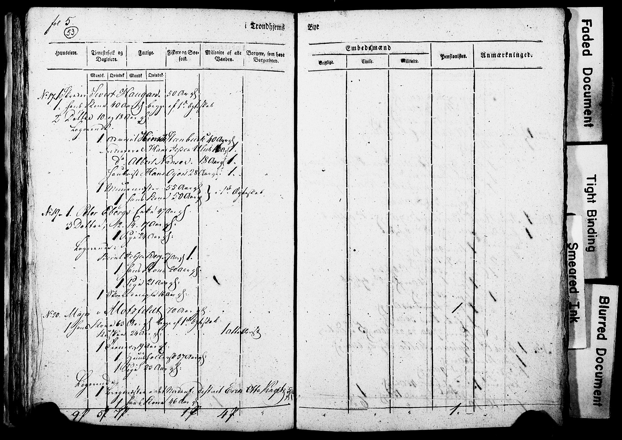 RA, Census 1815 for Trondheim, 1815, p. 254