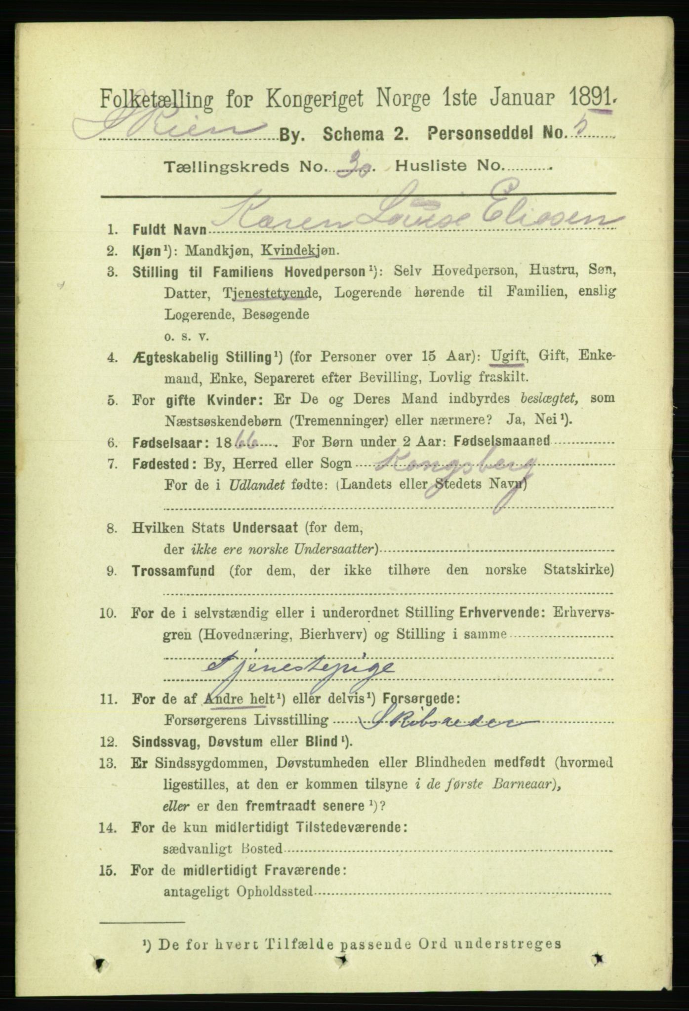 RA, 1891 census for 0806 Skien, 1891, p. 6857