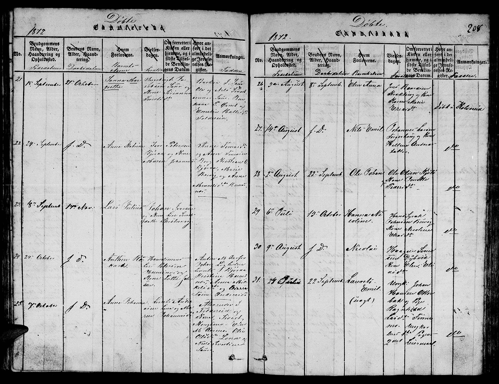 Ministerialprotokoller, klokkerbøker og fødselsregistre - Nord-Trøndelag, SAT/A-1458/780/L0648: Parish register (copy) no. 780C01 /3, 1815-1877, p. 208