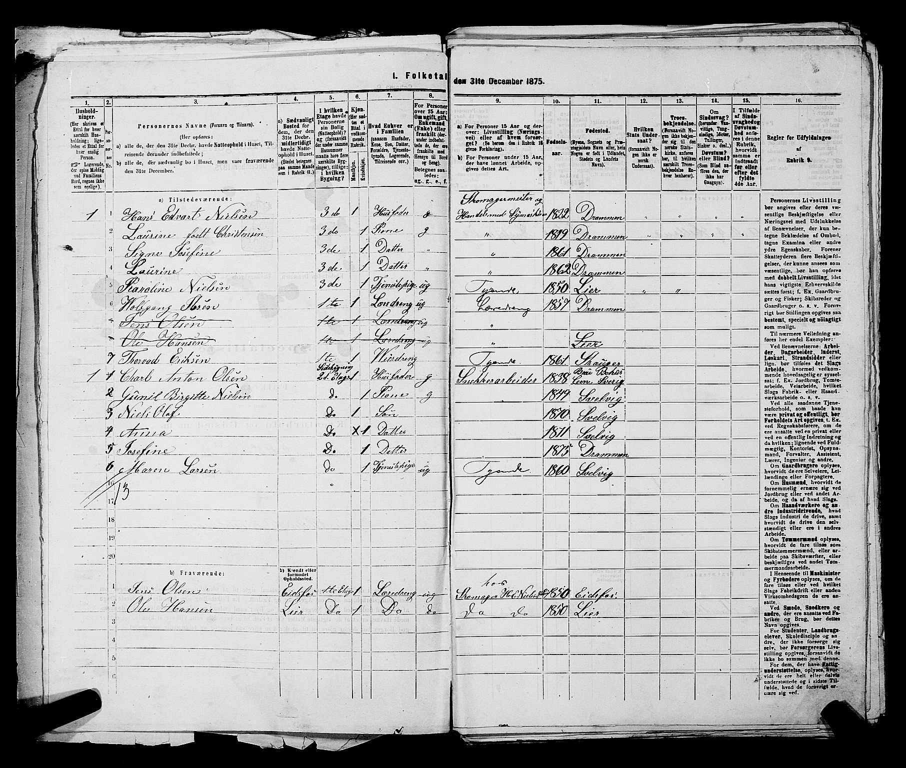 SAKO, 1875 census for 0602 Drammen, 1875, p. 2376