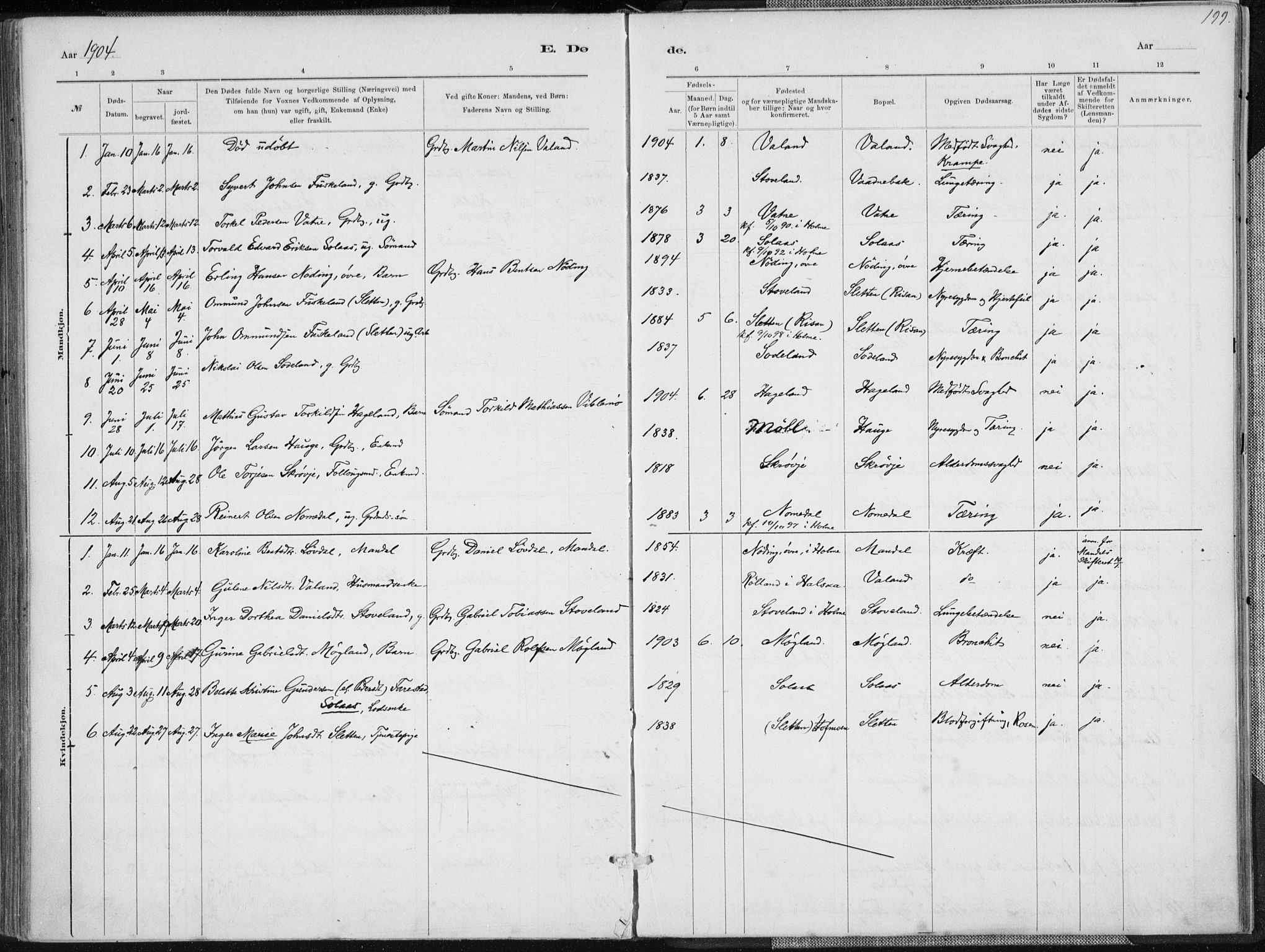 Holum sokneprestkontor, SAK/1111-0022/F/Fa/Faa/L0007: Parish register (official) no. A 7, 1884-1907, p. 199