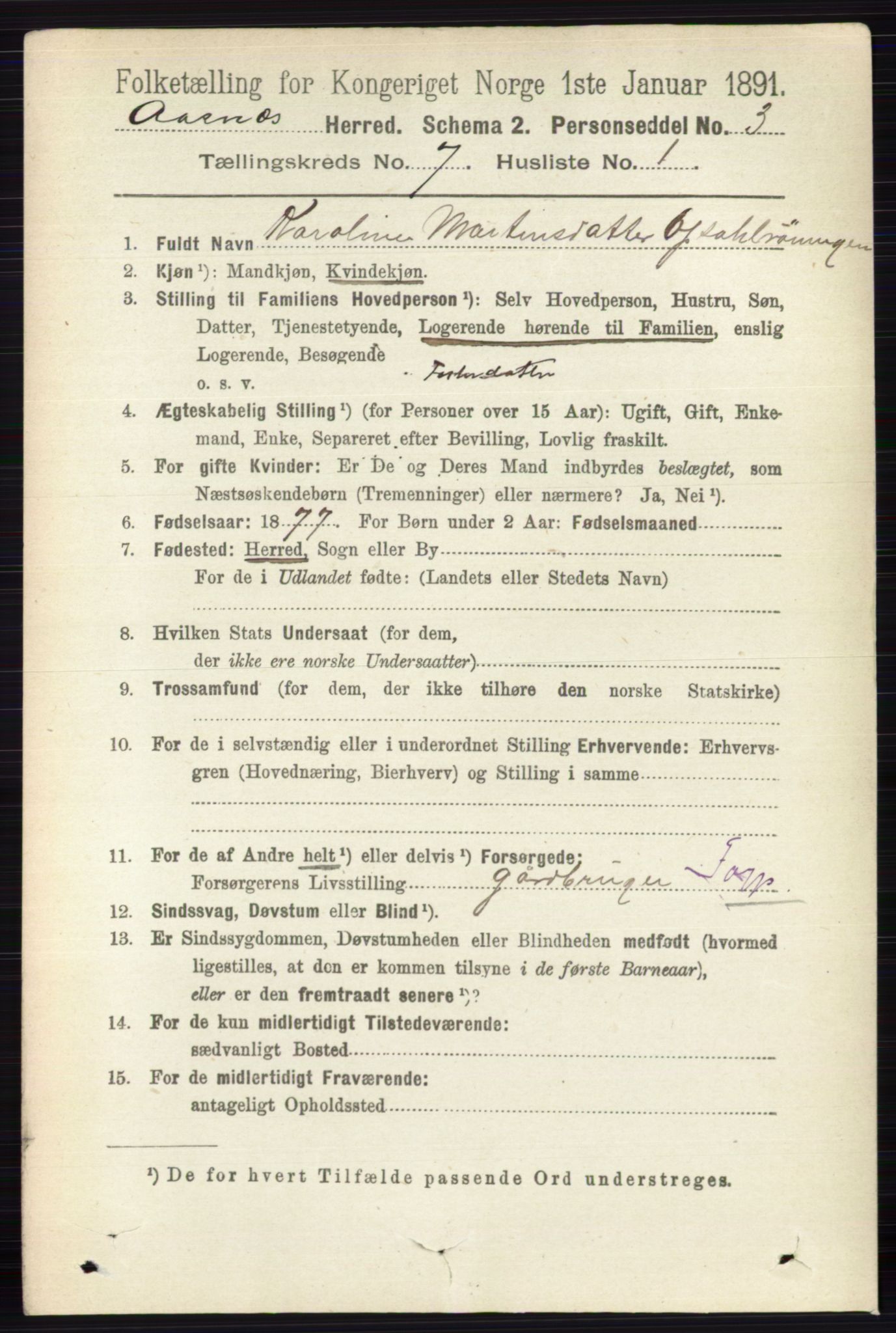 RA, 1891 census for 0425 Åsnes, 1891, p. 3374