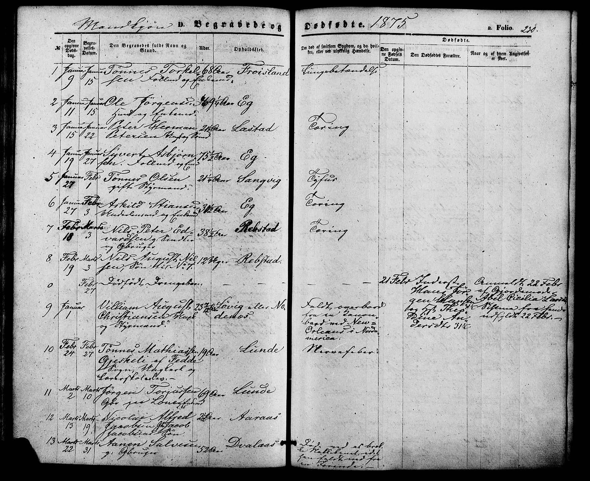 Søgne sokneprestkontor, SAK/1111-0037/F/Fa/Fab/L0011: Parish register (official) no. A 11, 1869-1879, p. 230