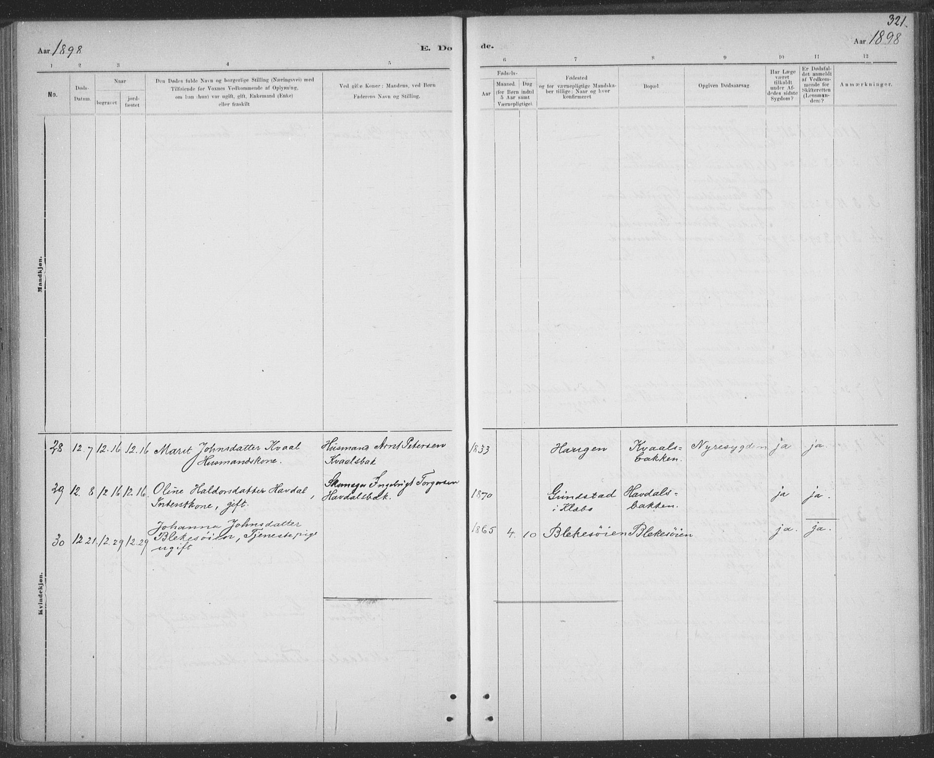 Ministerialprotokoller, klokkerbøker og fødselsregistre - Sør-Trøndelag, AV/SAT-A-1456/691/L1085: Parish register (official) no. 691A17, 1887-1908, p. 321