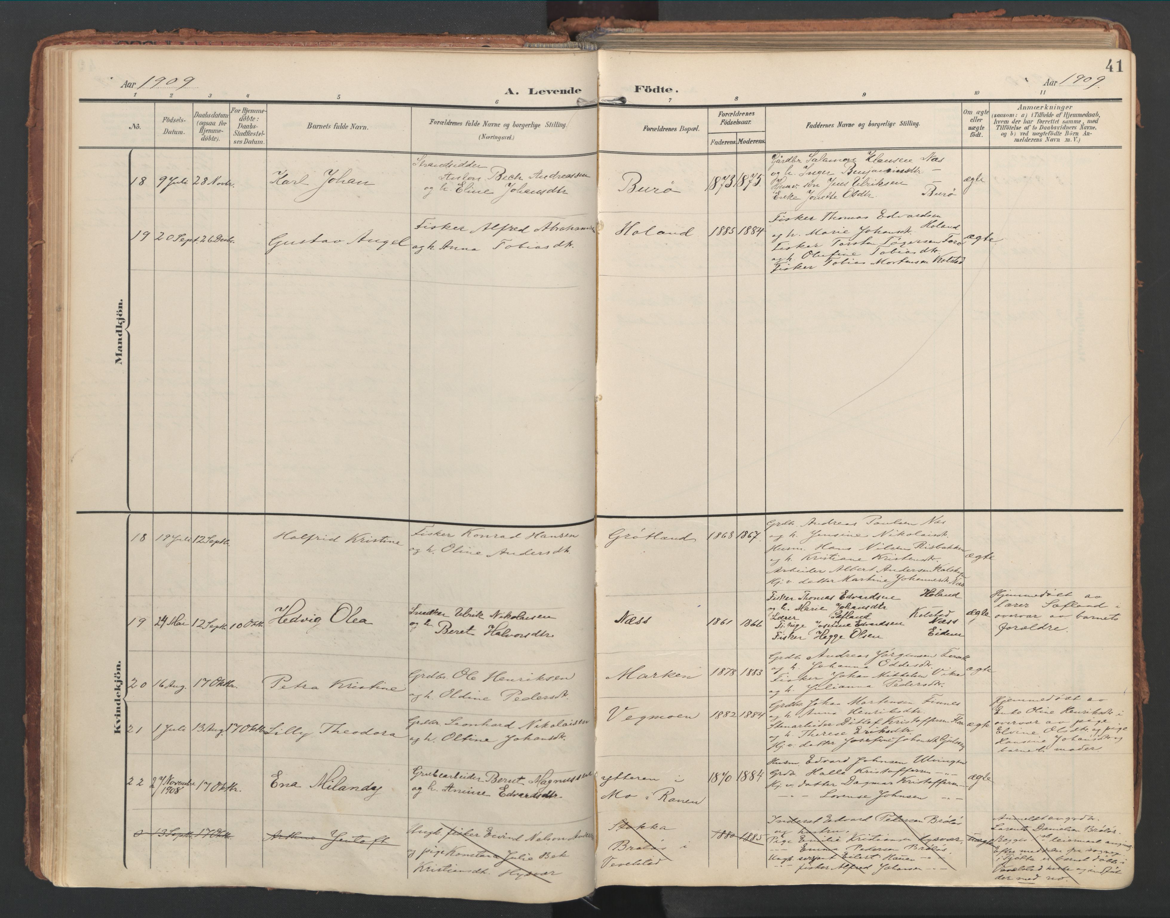 Ministerialprotokoller, klokkerbøker og fødselsregistre - Nordland, AV/SAT-A-1459/816/L0250: Parish register (official) no. 816A16, 1903-1923, p. 41