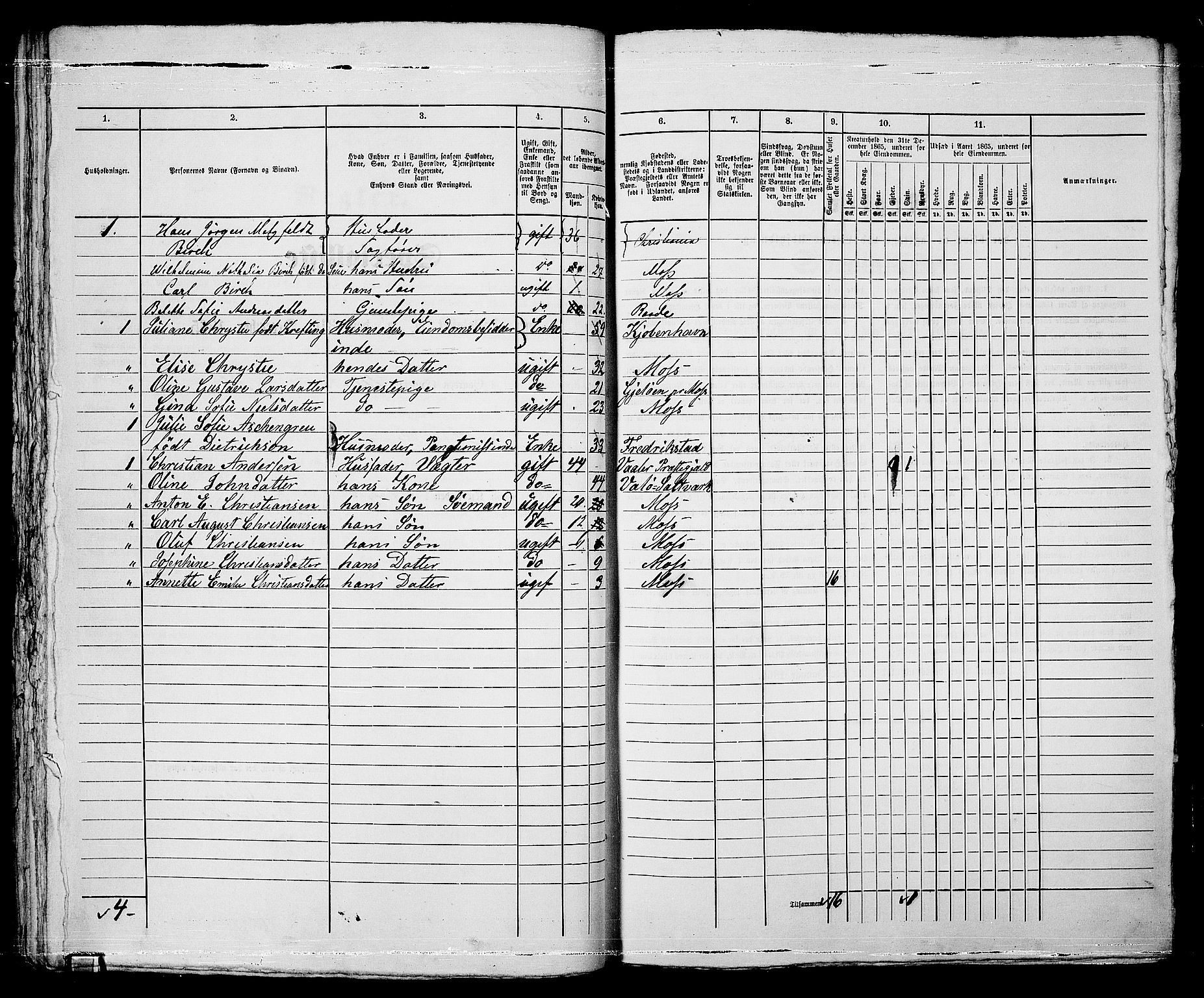 RA, 1865 census for Moss/Moss, 1865, p. 458