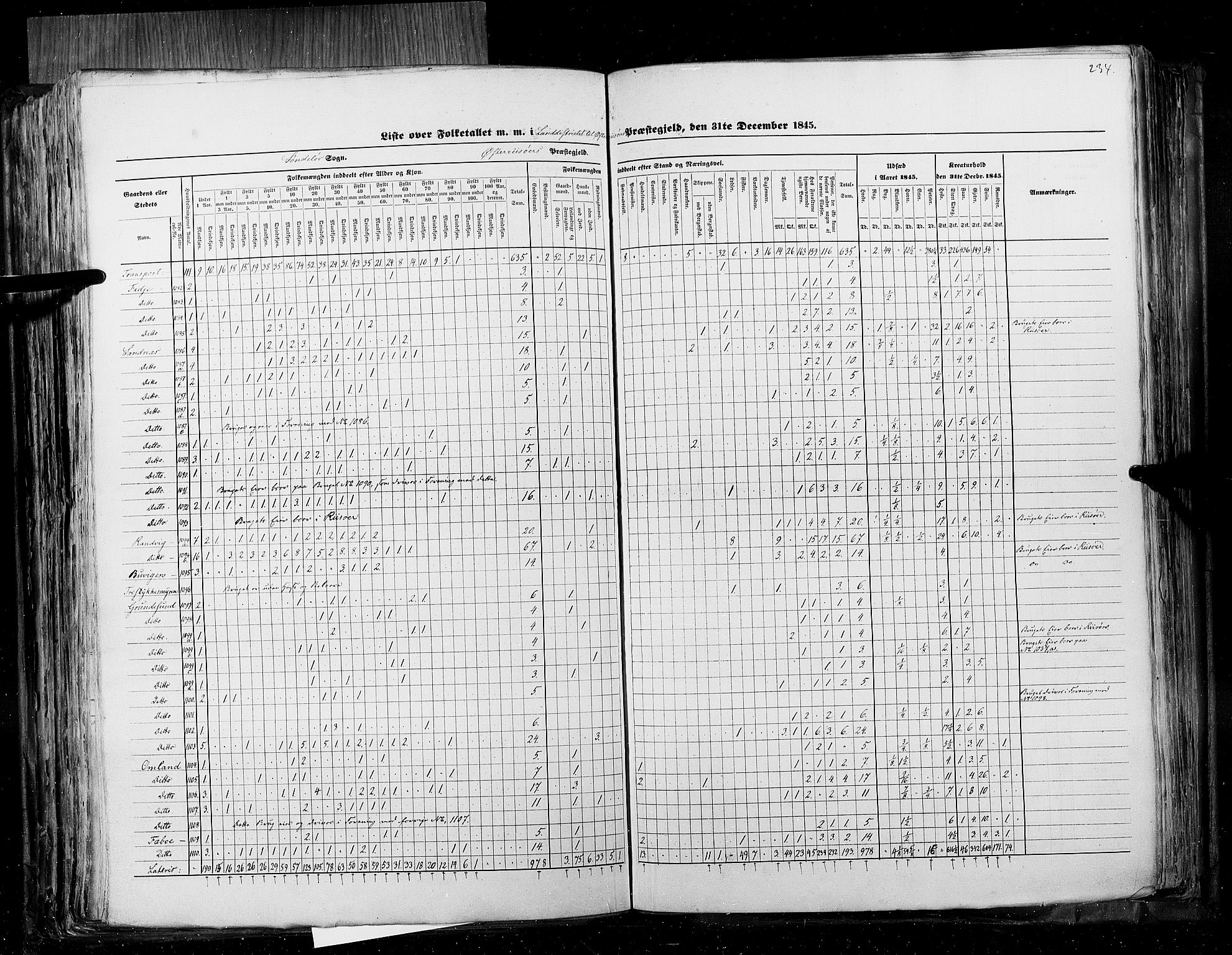 RA, Census 1845, vol. 5: Bratsberg amt og Nedenes og Råbyggelaget amt, 1845, p. 234