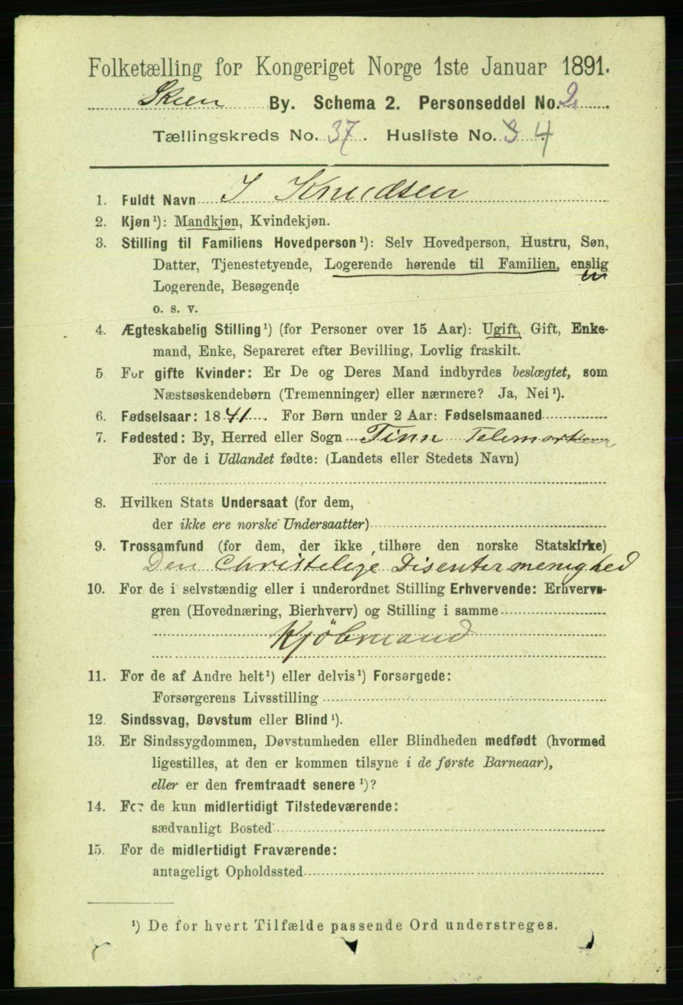 RA, 1891 census for 0806 Skien, 1891, p. 8106