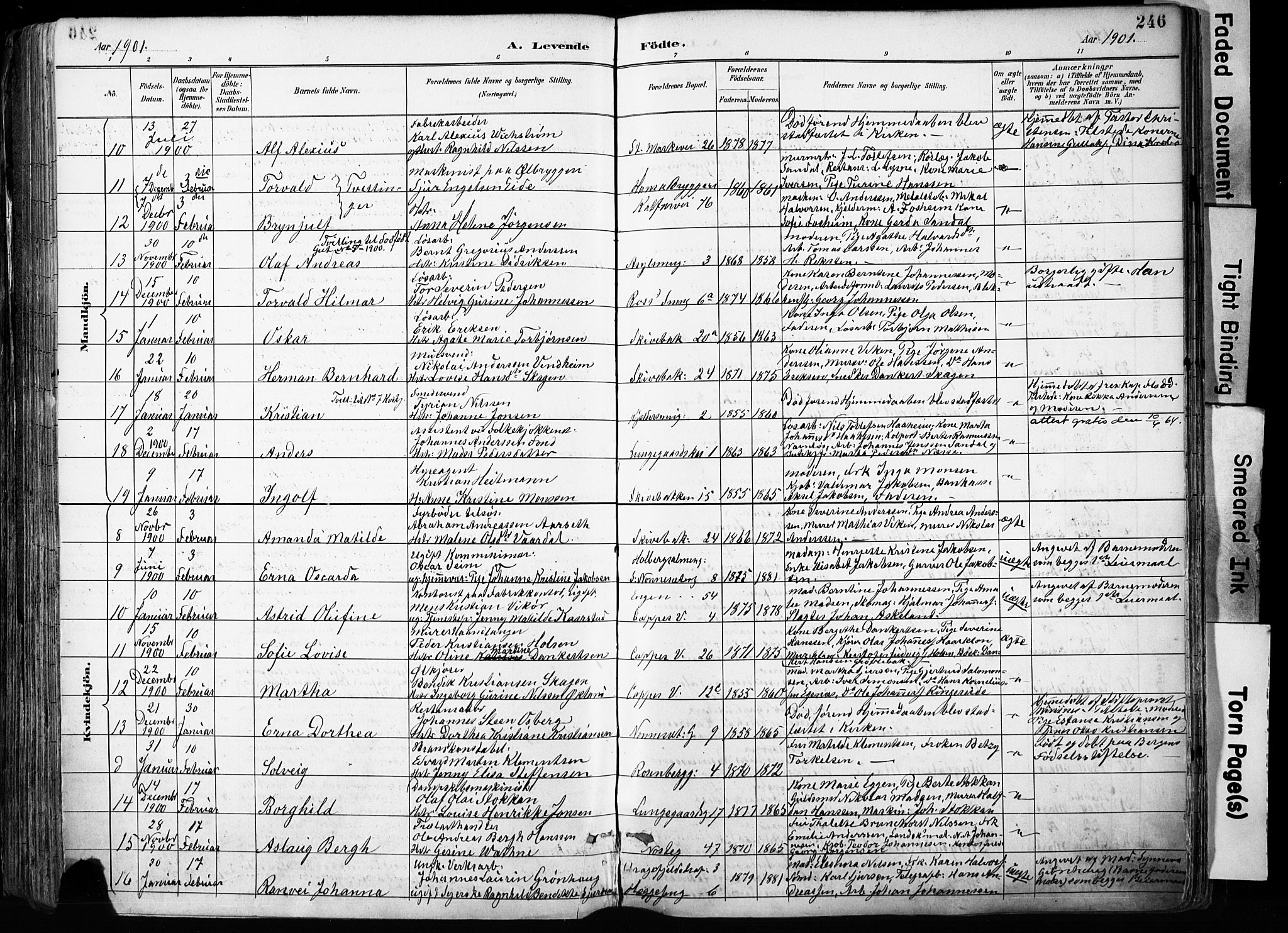Domkirken sokneprestembete, SAB/A-74801/H/Haa/L0024: Parish register (official) no. B 7, 1888-1903, p. 246