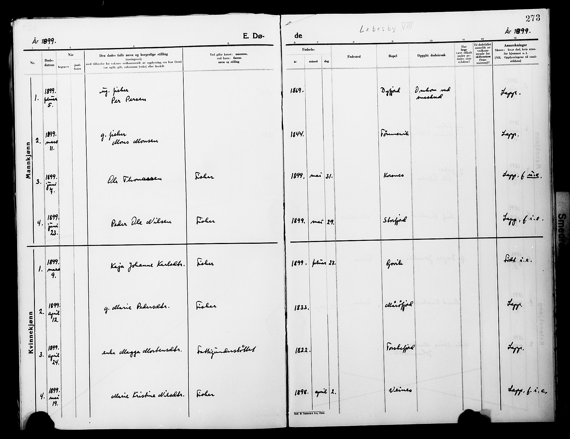 Lebesby sokneprestkontor, SATØ/S-1353/H/Ha/L0004kirke: Parish register (official) no. 4, 1870-1902, p. 273