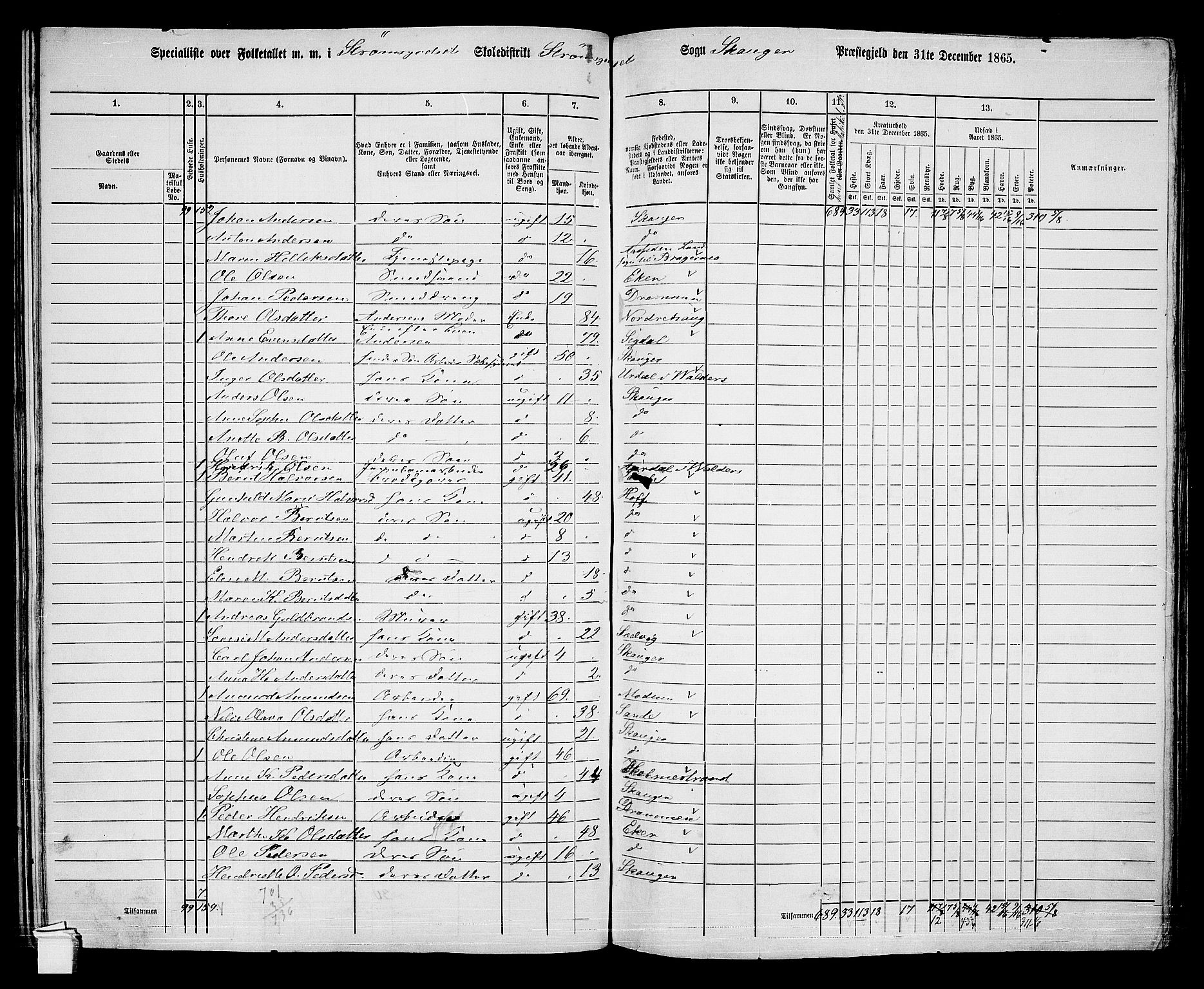 RA, 1865 census for Skoger, 1865, p. 139