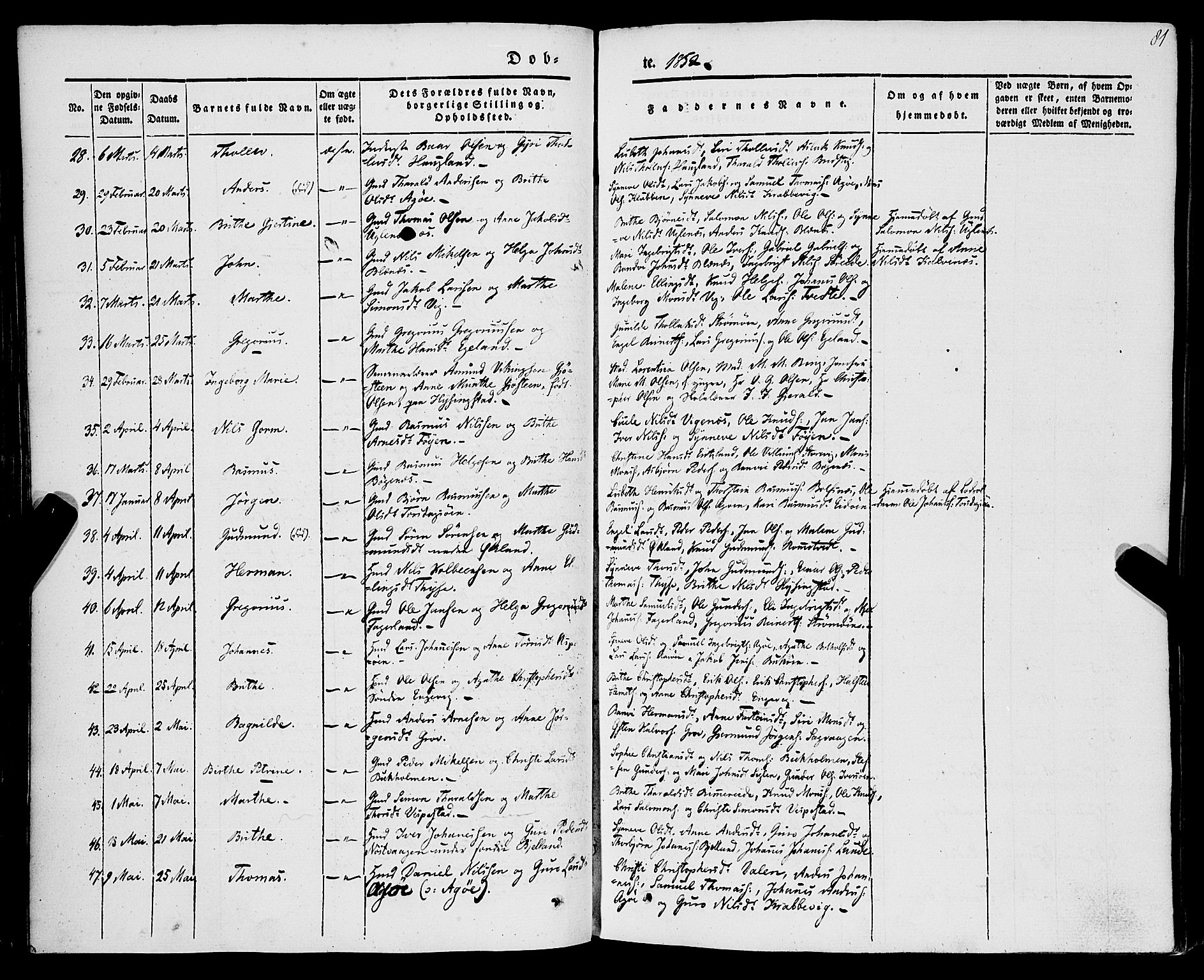 Stord sokneprestembete, SAB/A-78201/H/Haa: Parish register (official) no. A 7, 1841-1861, p. 81