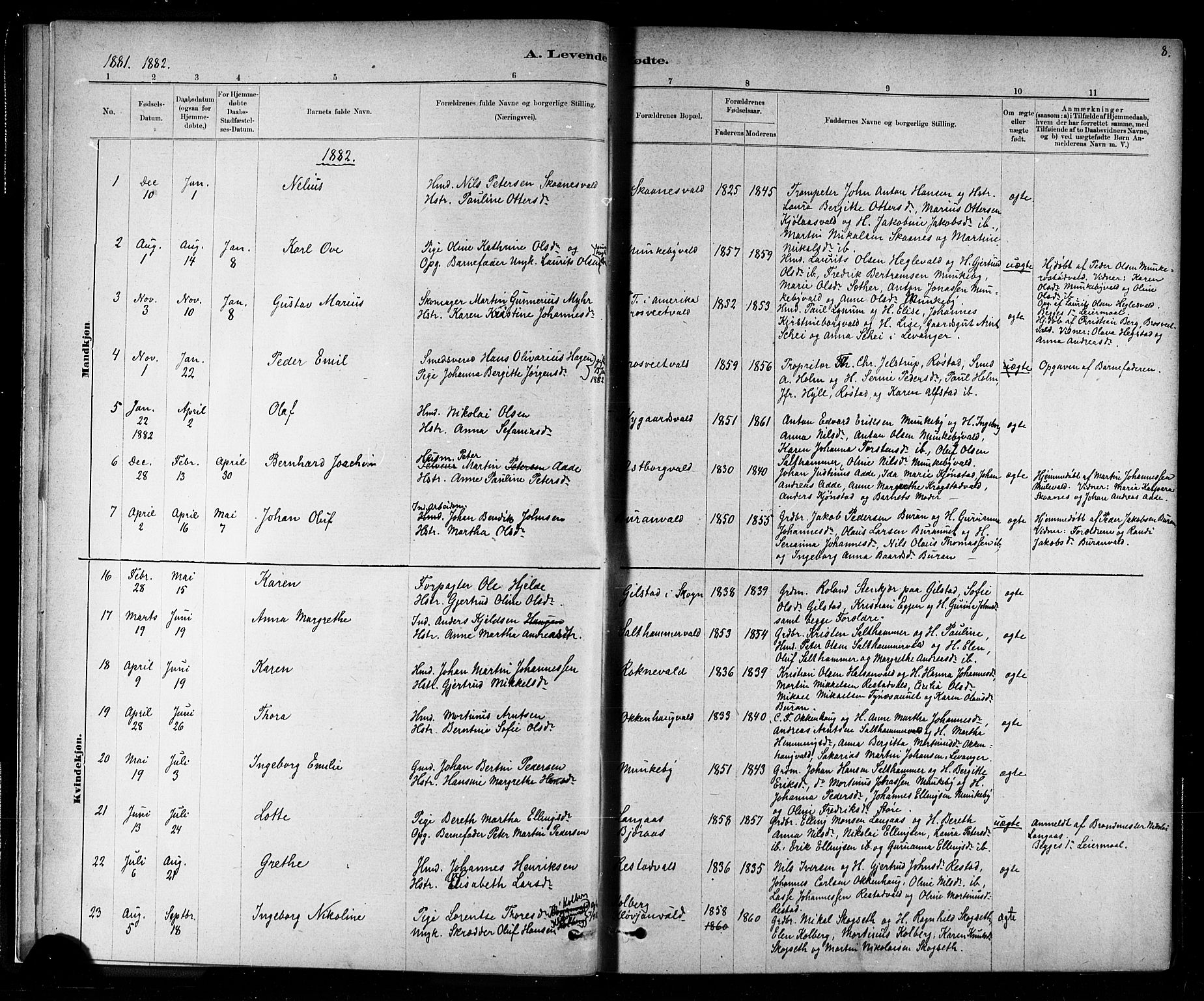 Ministerialprotokoller, klokkerbøker og fødselsregistre - Nord-Trøndelag, SAT/A-1458/721/L0208: Parish register (copy) no. 721C01, 1880-1917, p. 8
