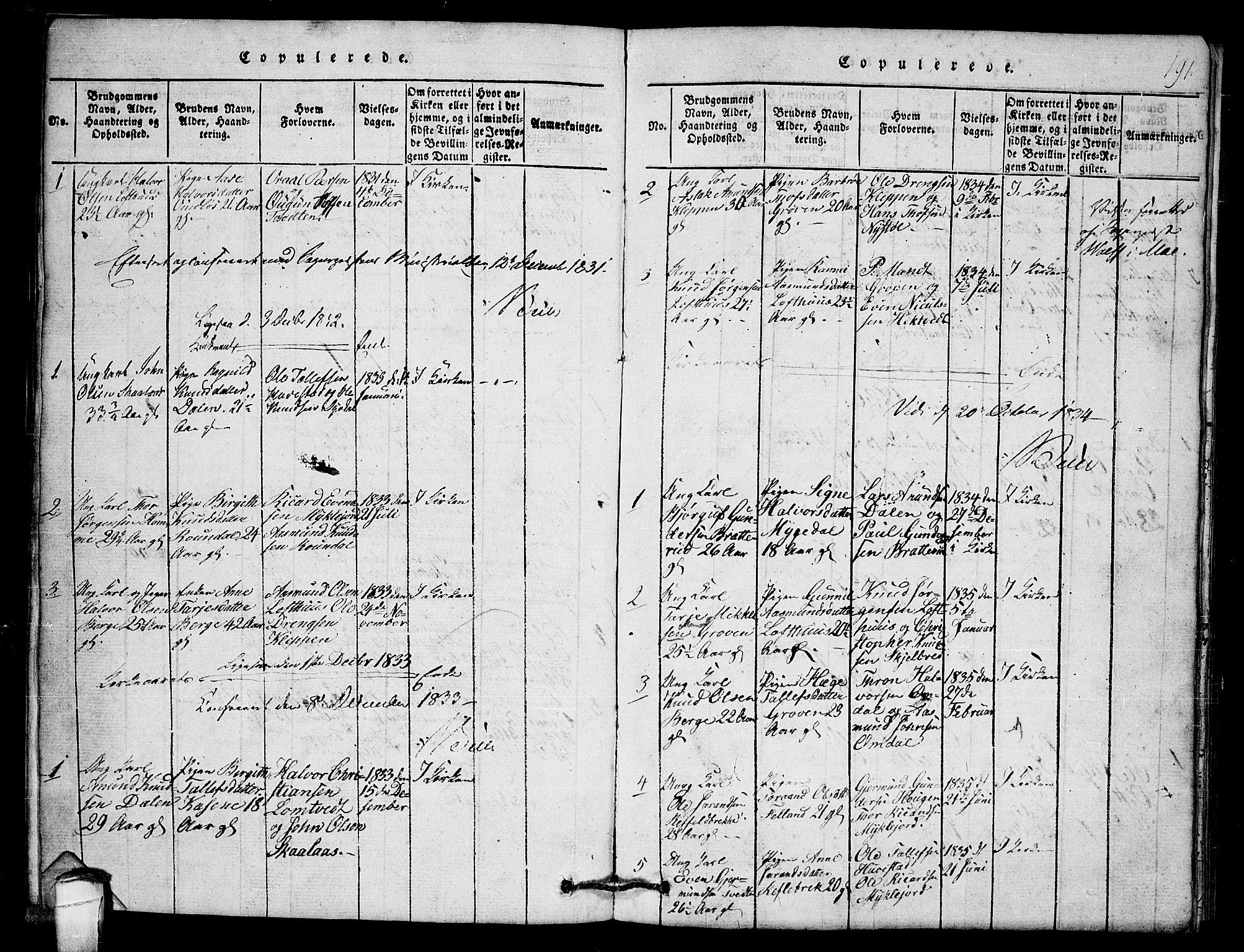 Lårdal kirkebøker, SAKO/A-284/G/Gb/L0001: Parish register (copy) no. II 1, 1815-1865, p. 191