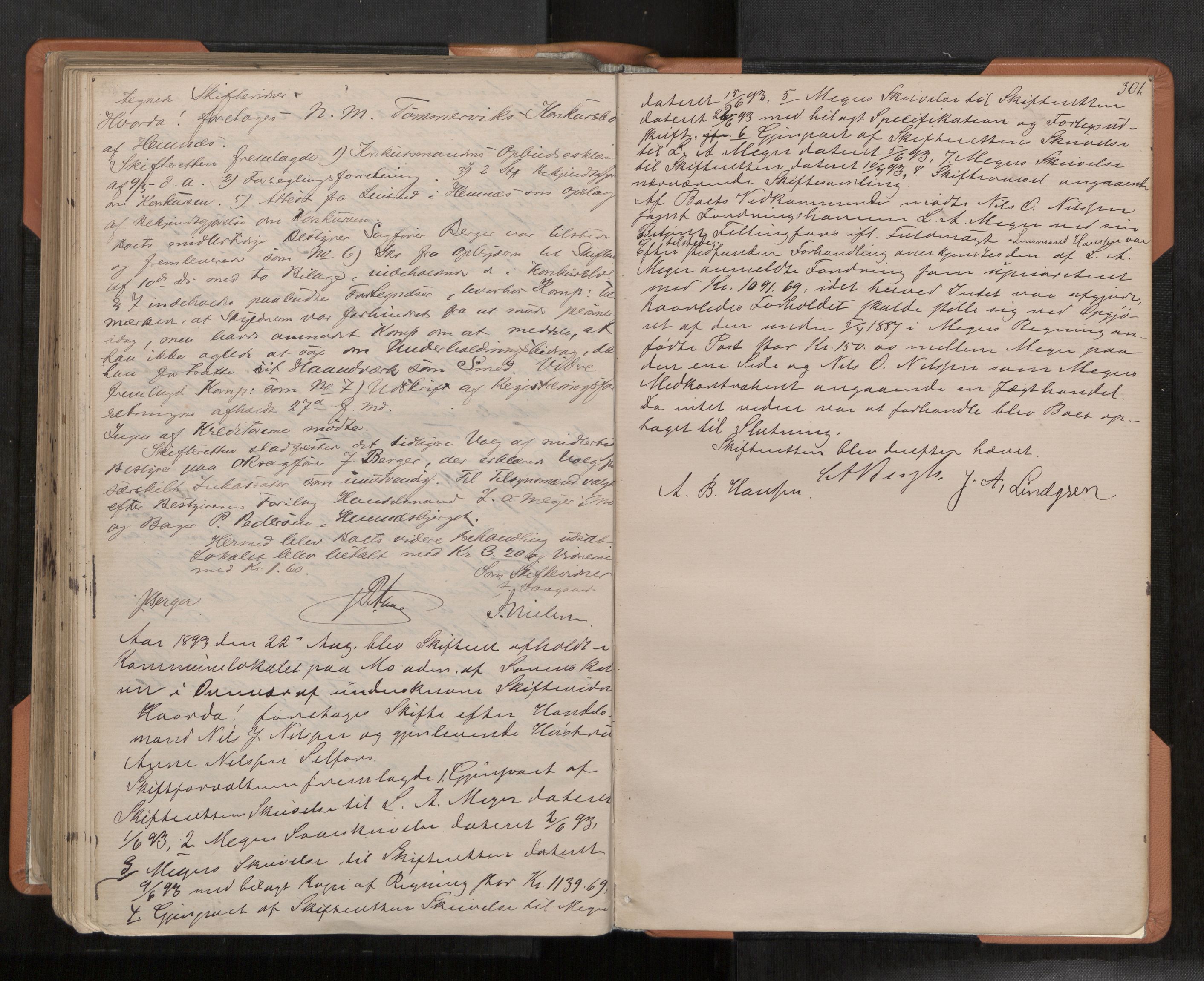 Rana sorenskriveri , AV/SAT-A-1108/1/3/3B/L0003: Skiftebehandlingsprotokoll, 1875-1893, p. 301