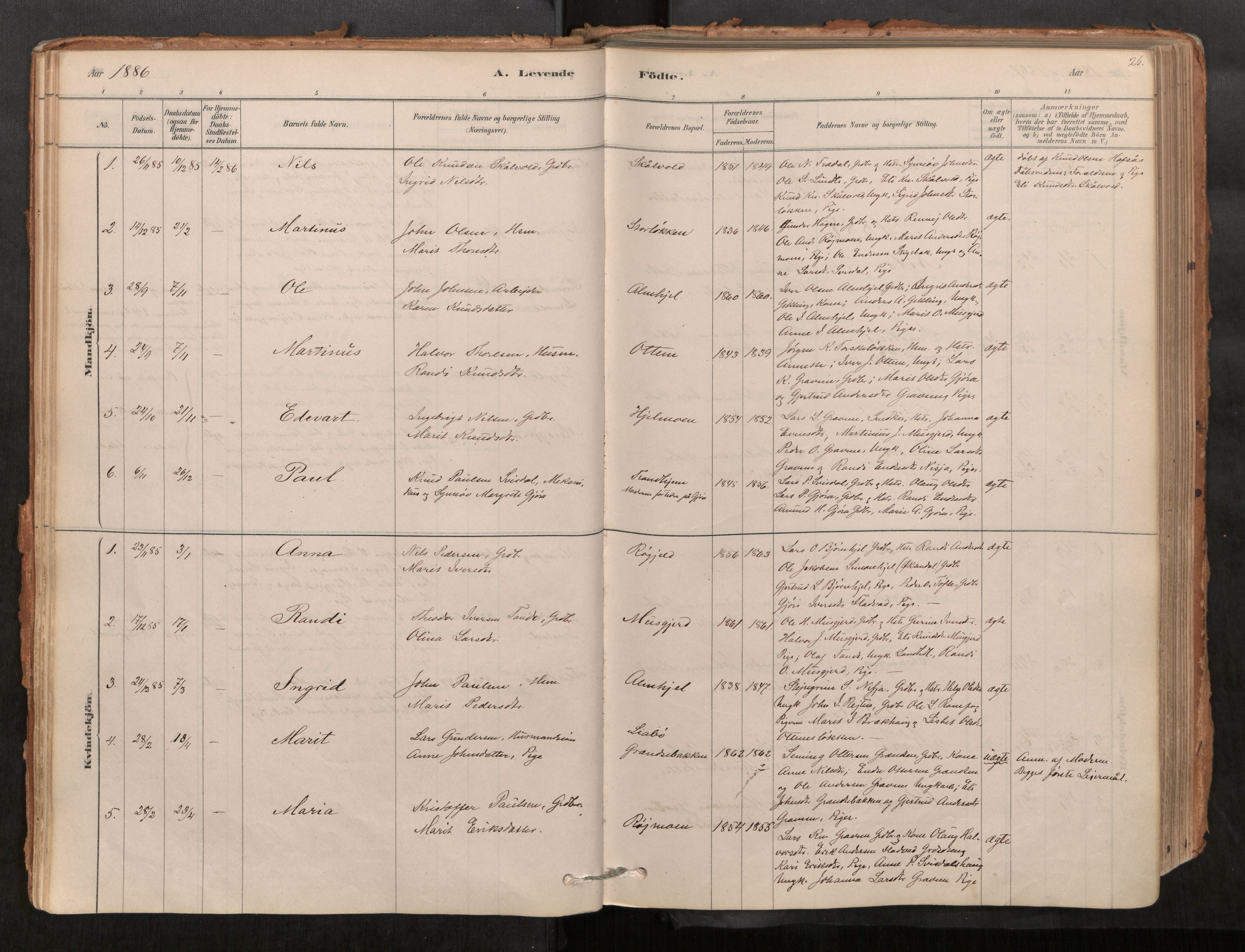 Sunndal sokneprestkontor, AV/SAT-A-1085/1/I/I1/I1a/L0001: Parish register (official) no. 1, 1877-1914, p. 26