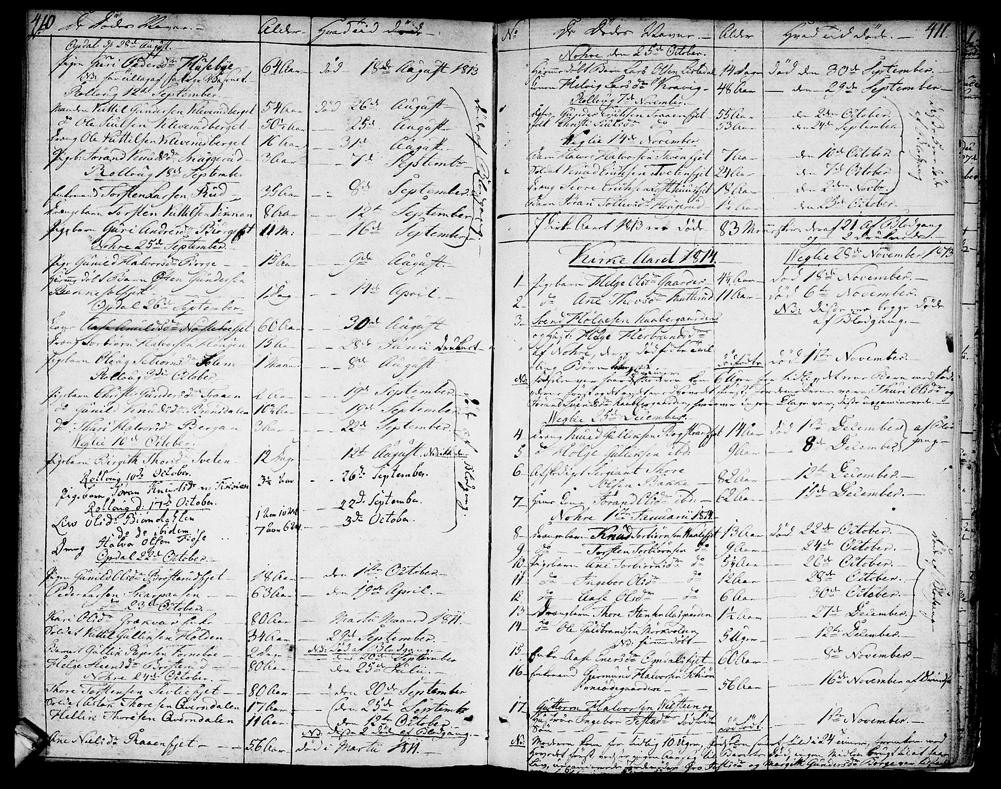 Rollag kirkebøker, AV/SAKO-A-240/F/Fa/L0005: Parish register (official) no. I 5, 1792-1814, p. 410-411