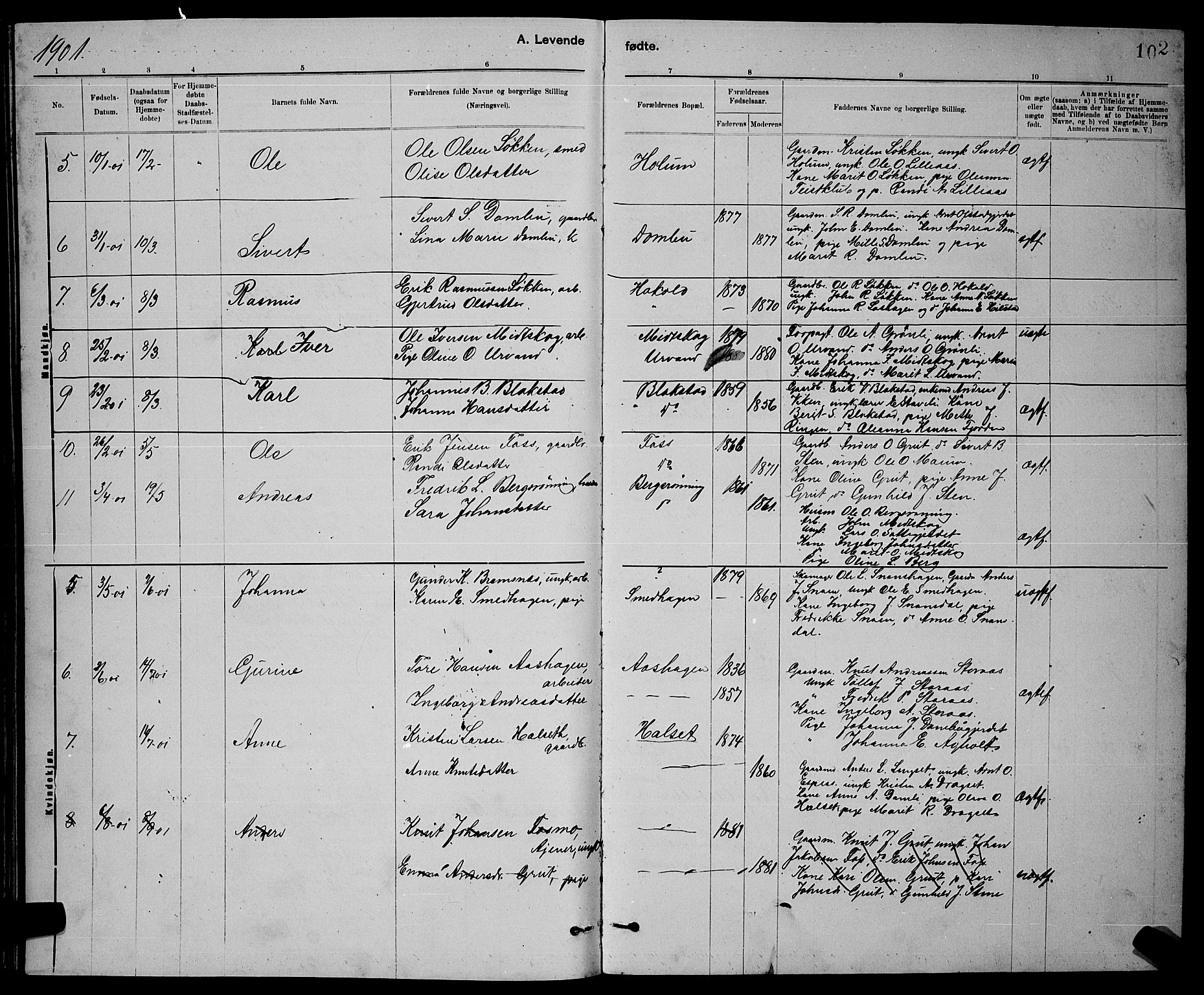 Ministerialprotokoller, klokkerbøker og fødselsregistre - Sør-Trøndelag, SAT/A-1456/672/L0863: Parish register (copy) no. 672C02, 1888-1901, p. 102