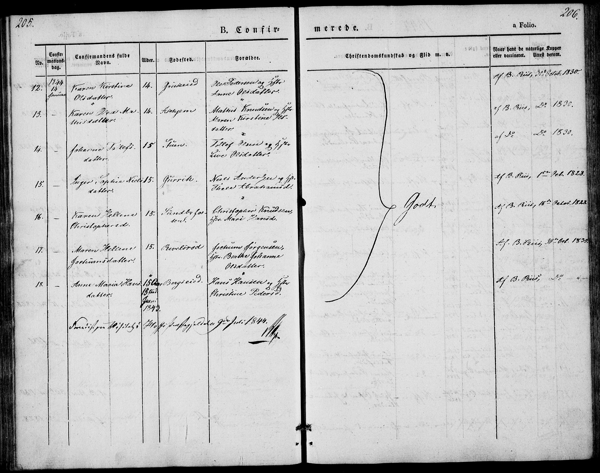 Hof kirkebøker, AV/SAKO-A-64/F/Fa/L0005: Parish register (official) no. I 5, 1844-1851, p. 205-206