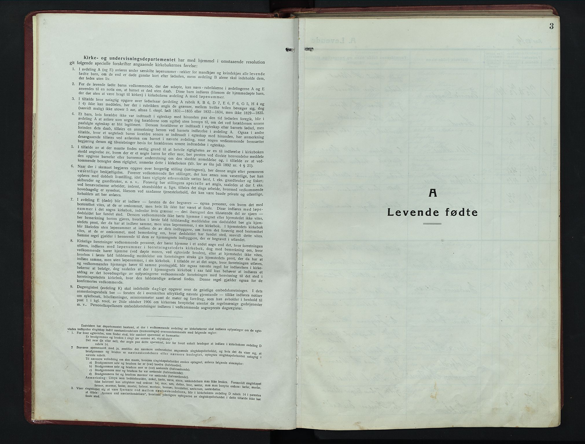 Kvikne prestekontor, SAH/PREST-064/H/Ha/Hab/L0005: Parish register (copy) no. 5, 1919-1943, p. 3