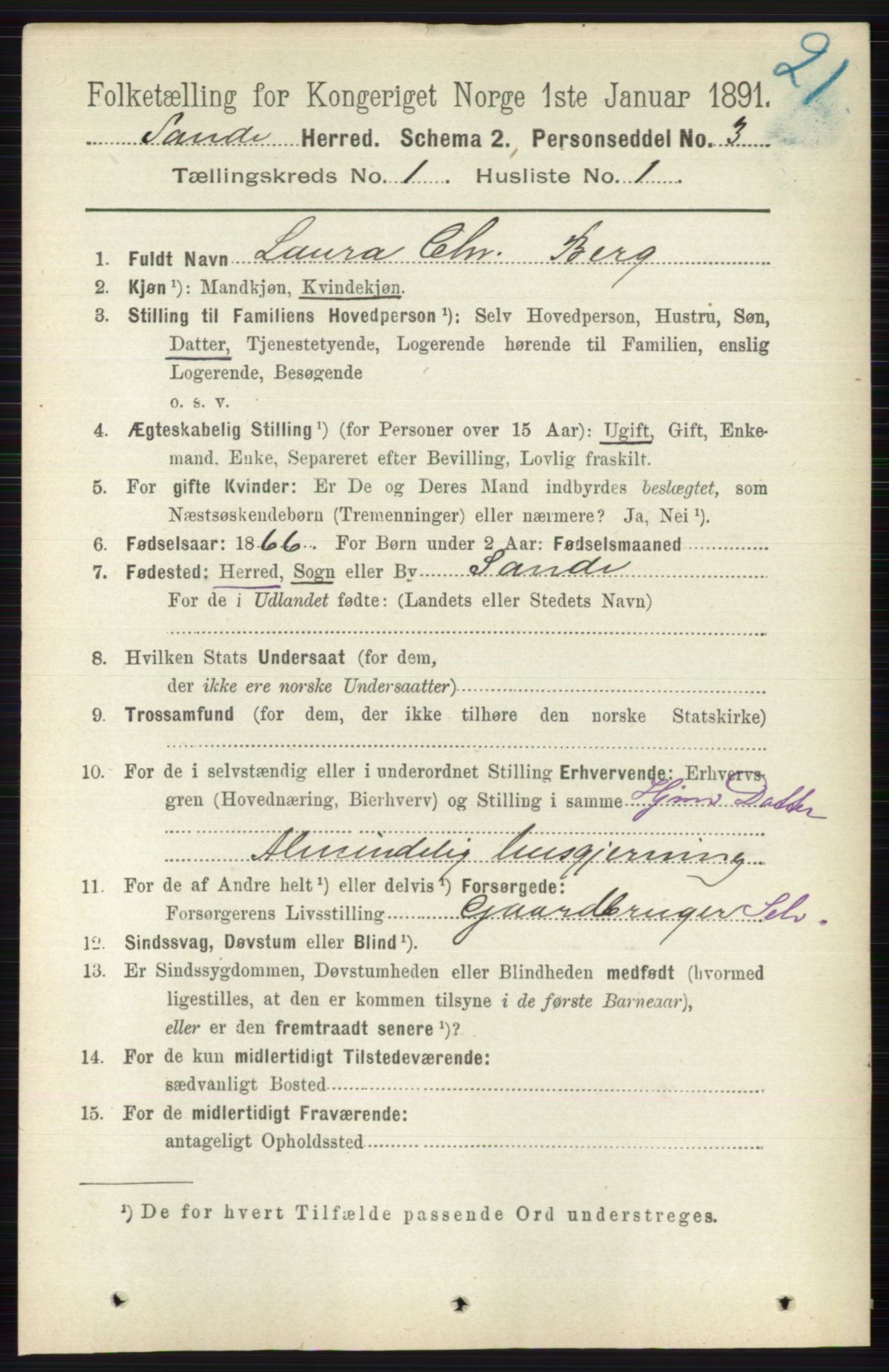 RA, 1891 census for 0713 Sande, 1891, p. 95