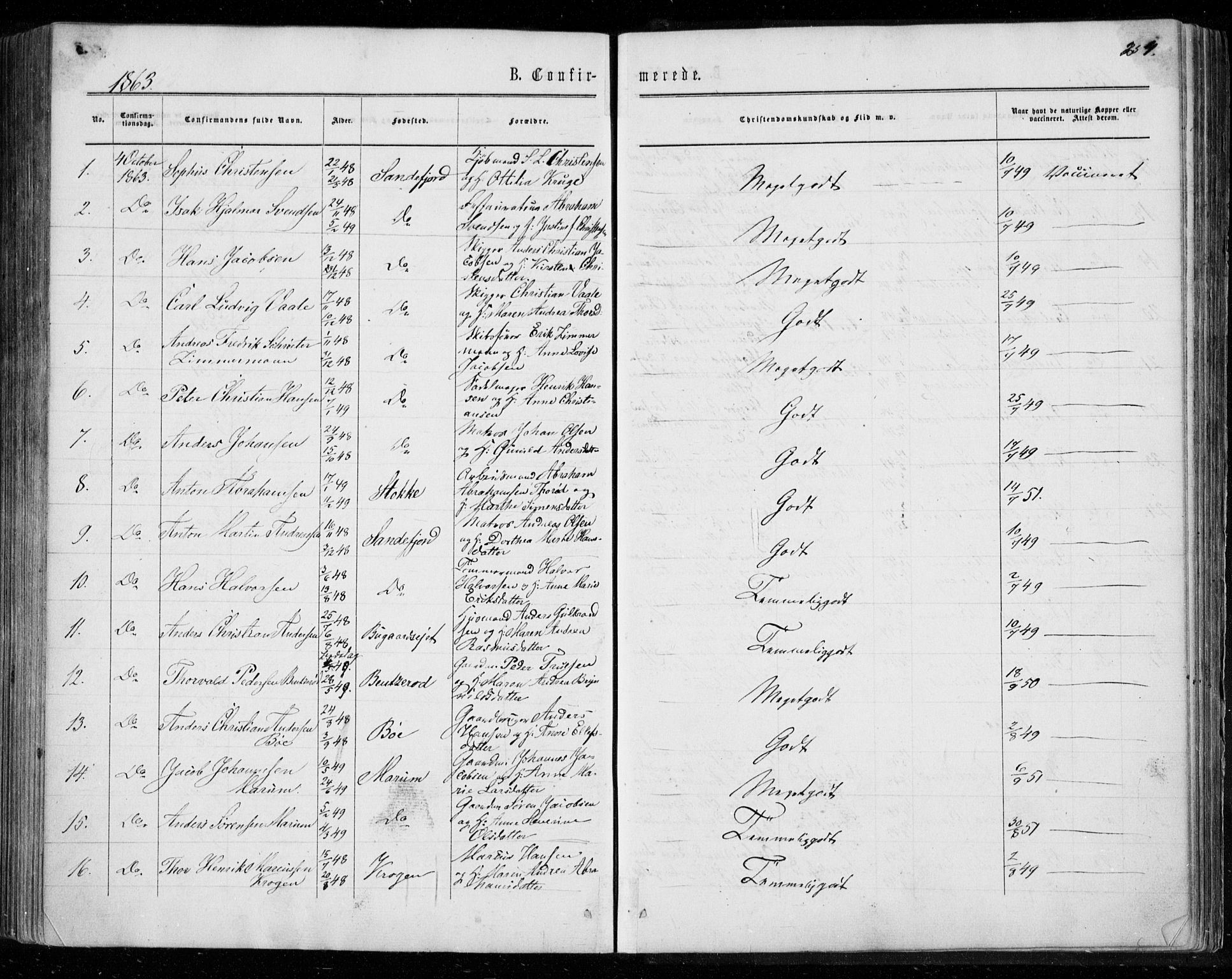 Sandar kirkebøker, SAKO/A-243/F/Fa/L0008: Parish register (official) no. 8, 1862-1871, p. 254