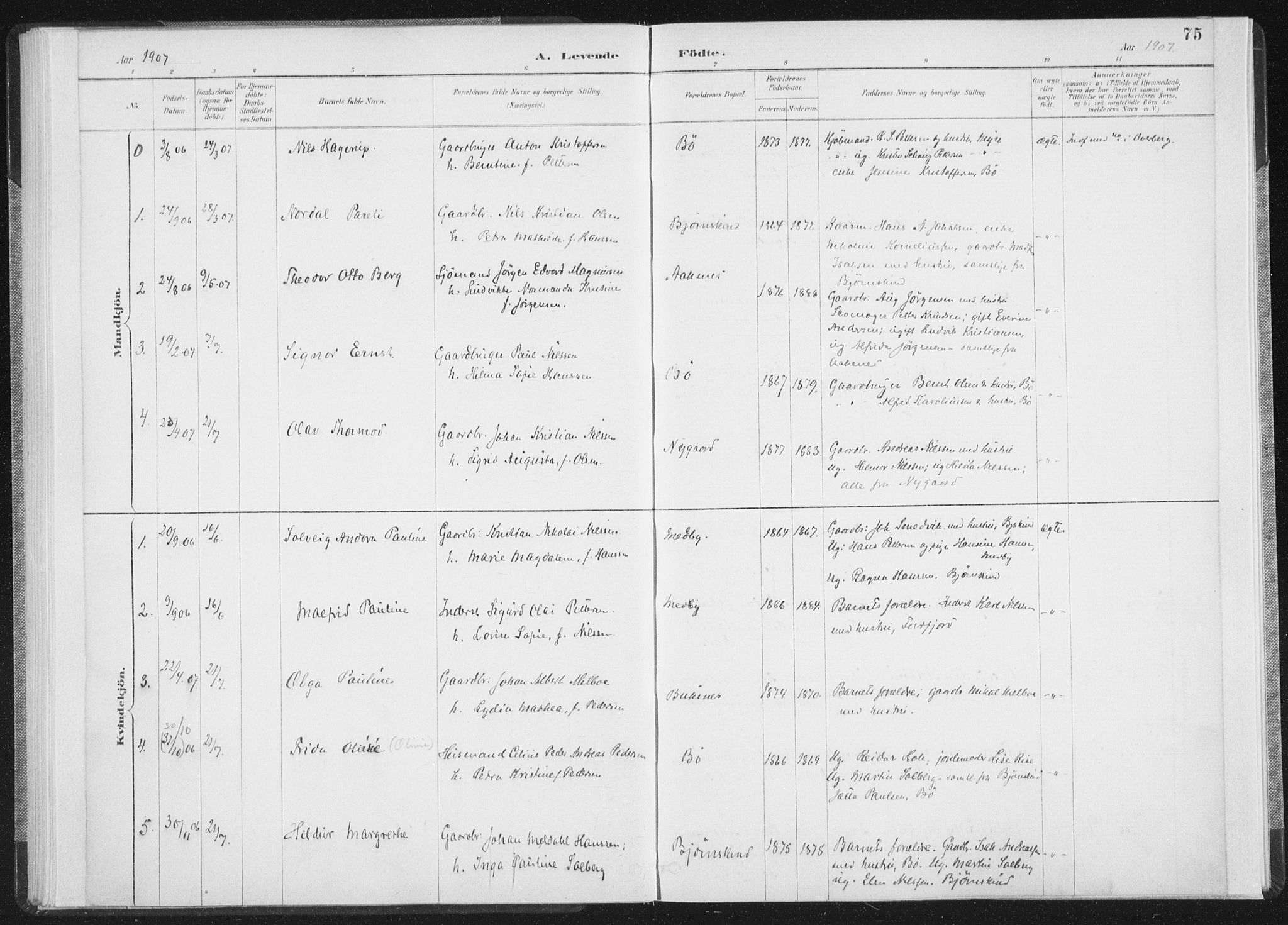 Ministerialprotokoller, klokkerbøker og fødselsregistre - Nordland, SAT/A-1459/898/L1422: Parish register (official) no. 898A02, 1887-1908, p. 75