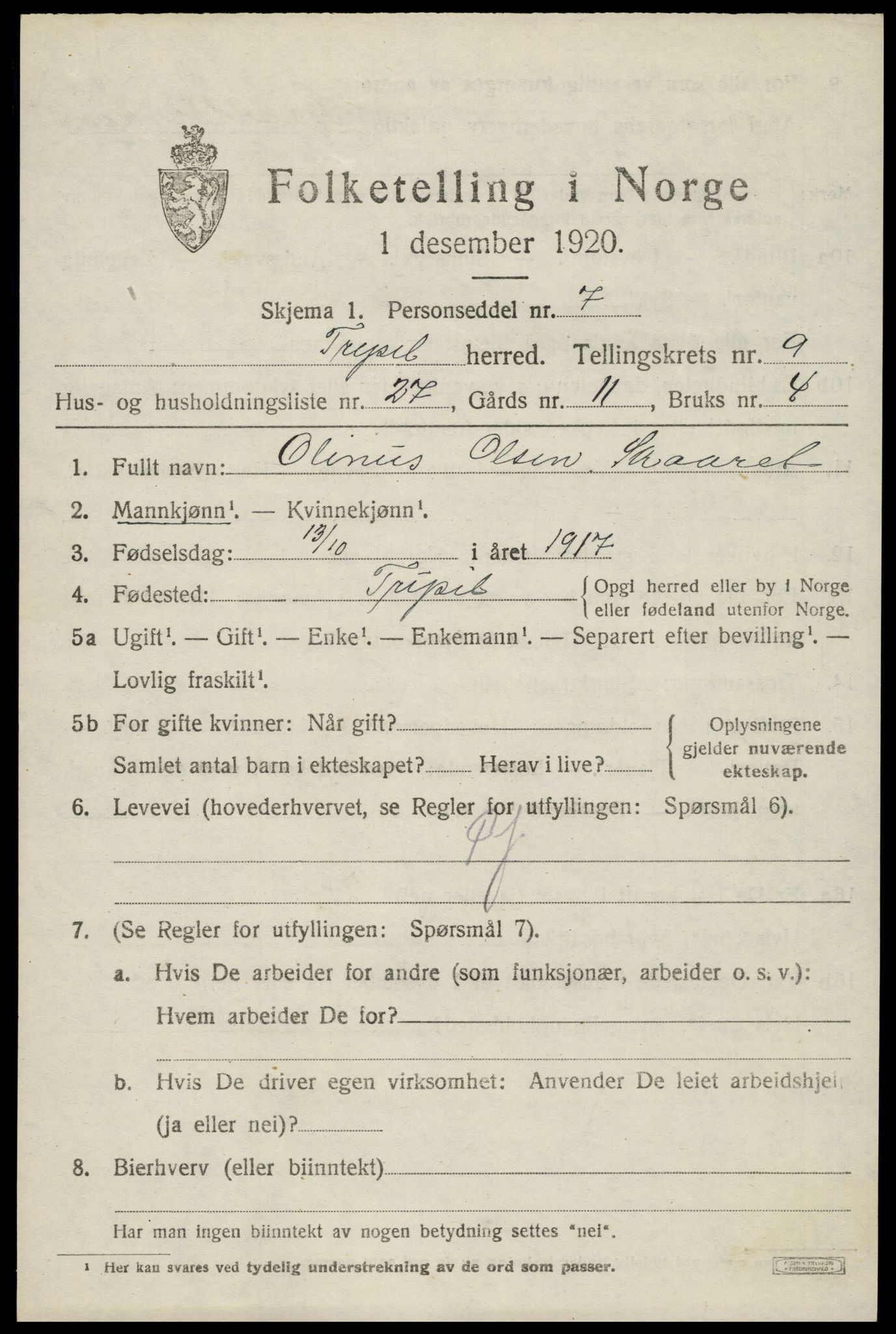 SAH, 1920 census for Trysil, 1920, p. 6851
