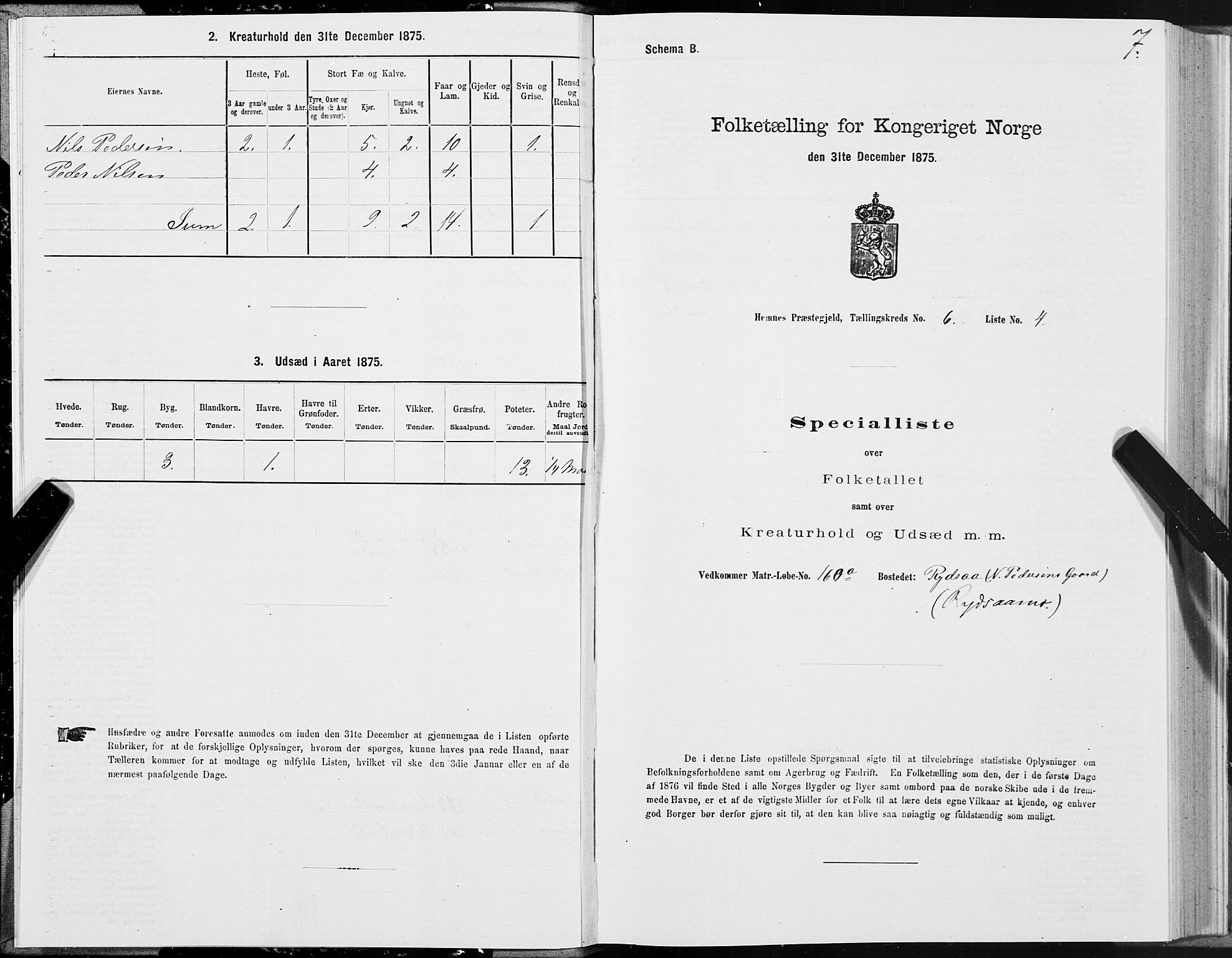 SAT, 1875 census for 1832P Hemnes, 1875, p. 4007